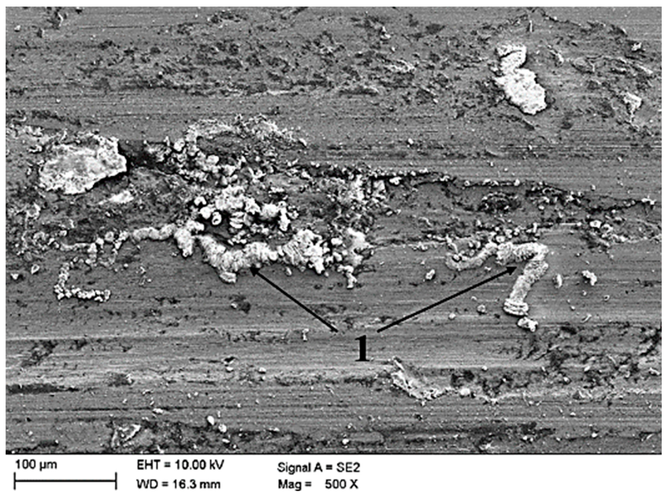 Energies 14 01422 g011