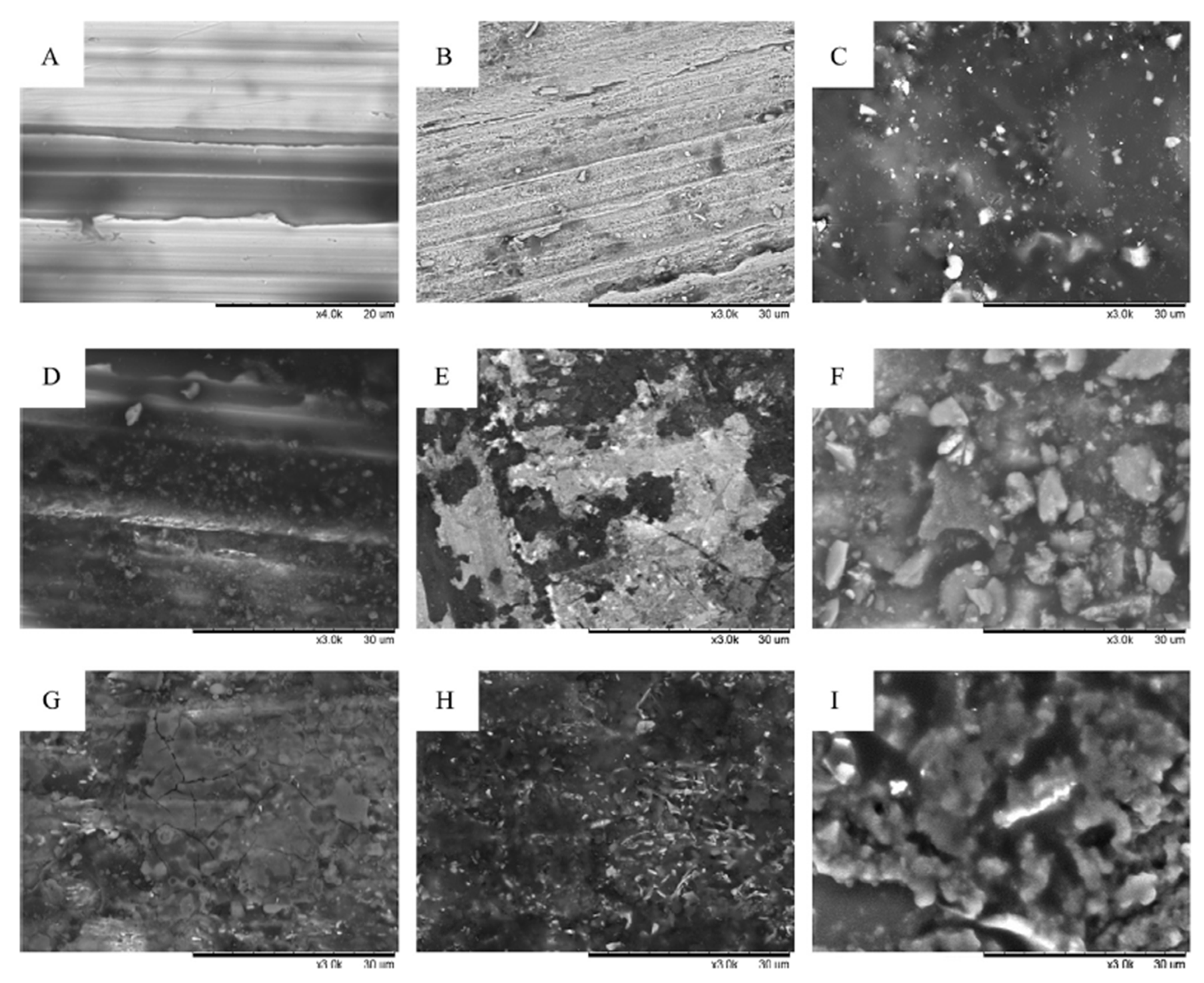 Energies 14 01440 g010 Energies 14 01440 g010