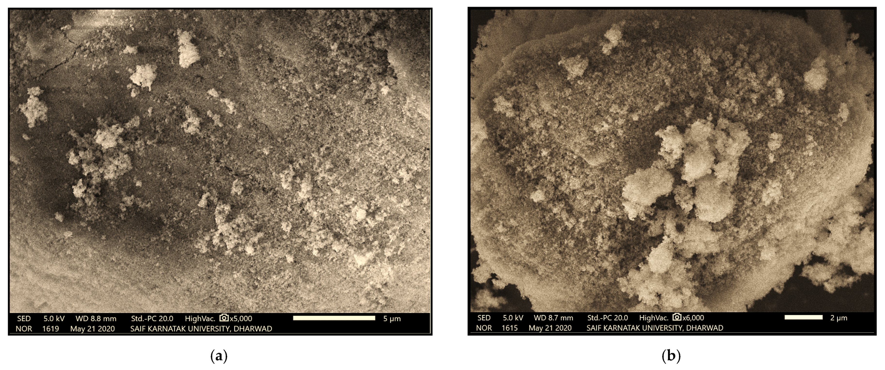 Energies 14 01489 g005