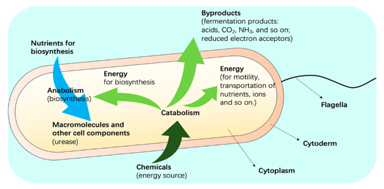 Energies 14 01544 g004