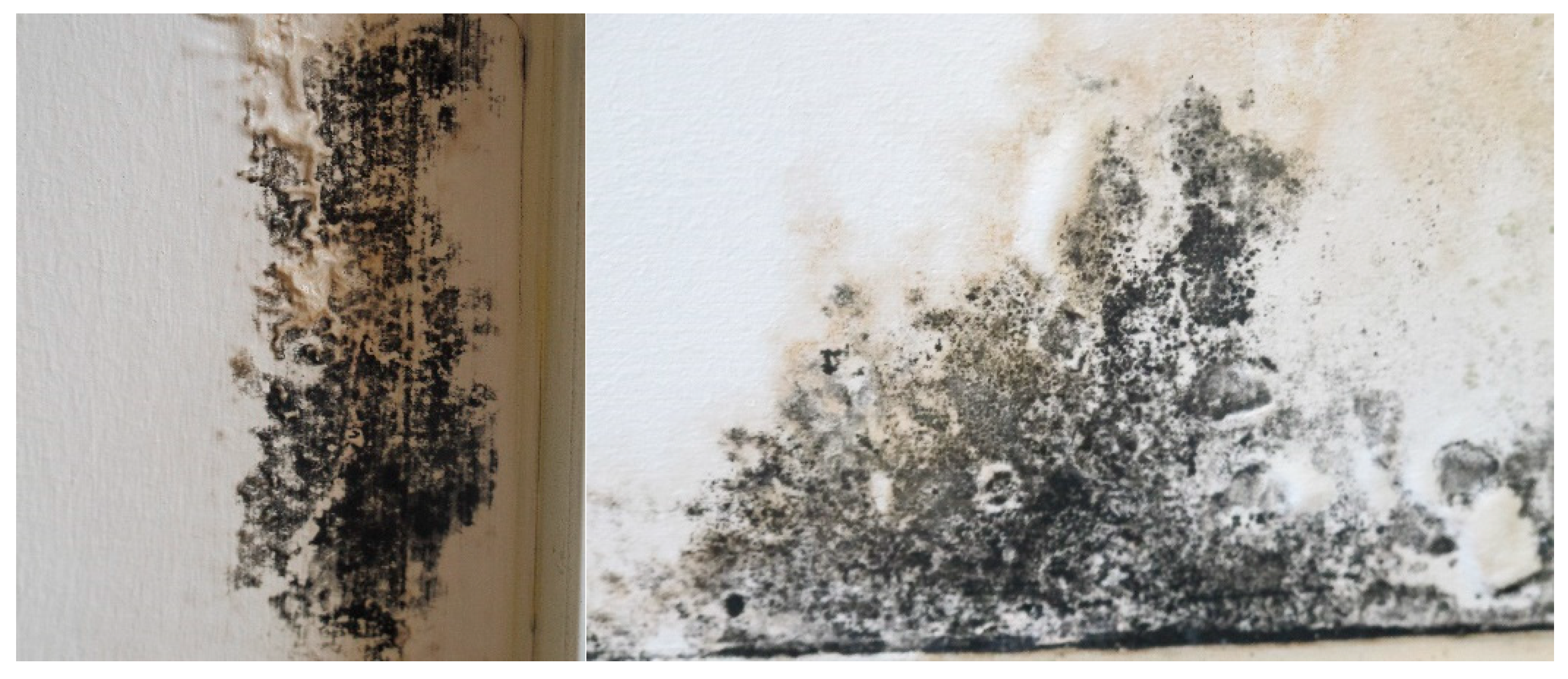 Energies 14 01602 g001 Energies 14 01602 g001