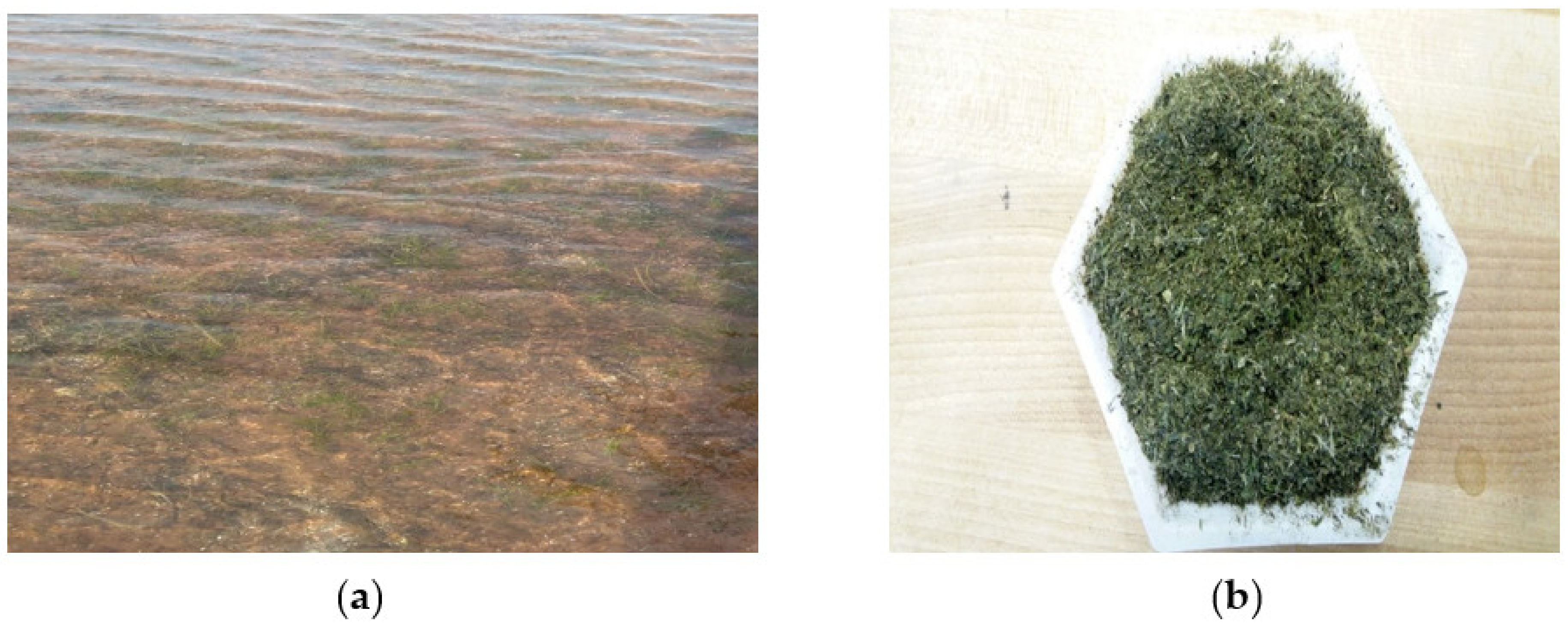 Energies 14 01805 g001 Energies 14 01805 g001