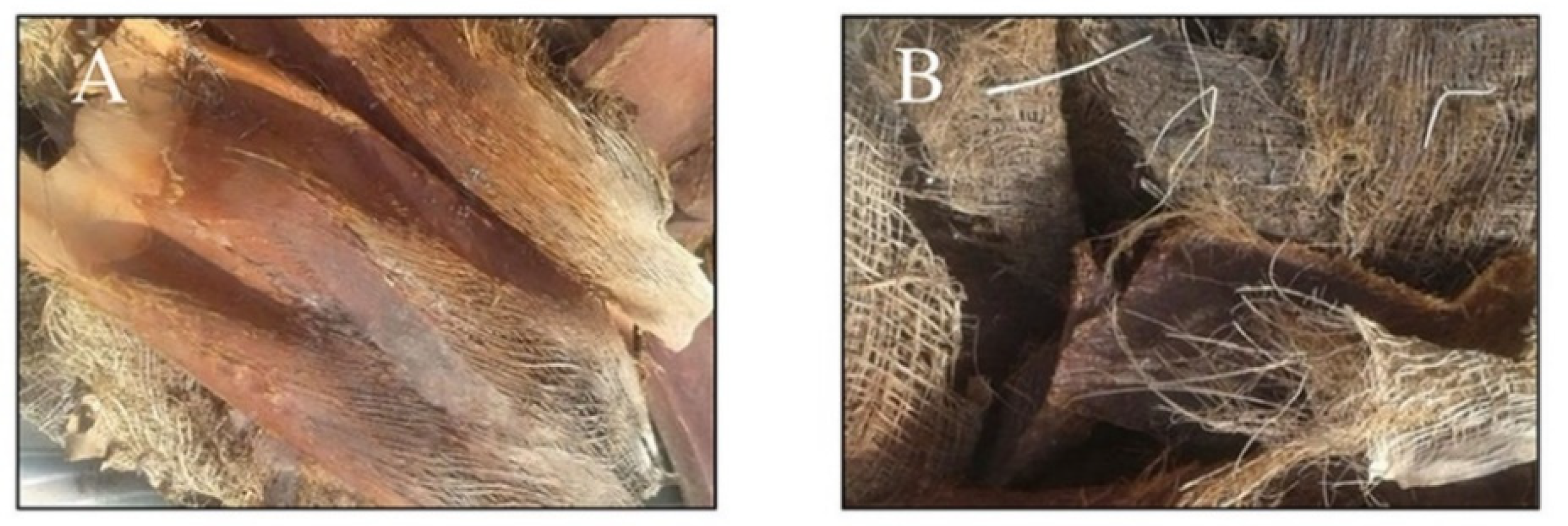 Energies 14 01887 g001