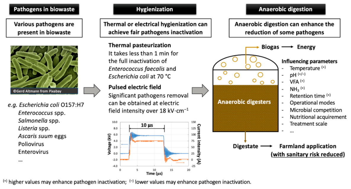 Energies 14 01938 g005 Energies 14 01938 g005