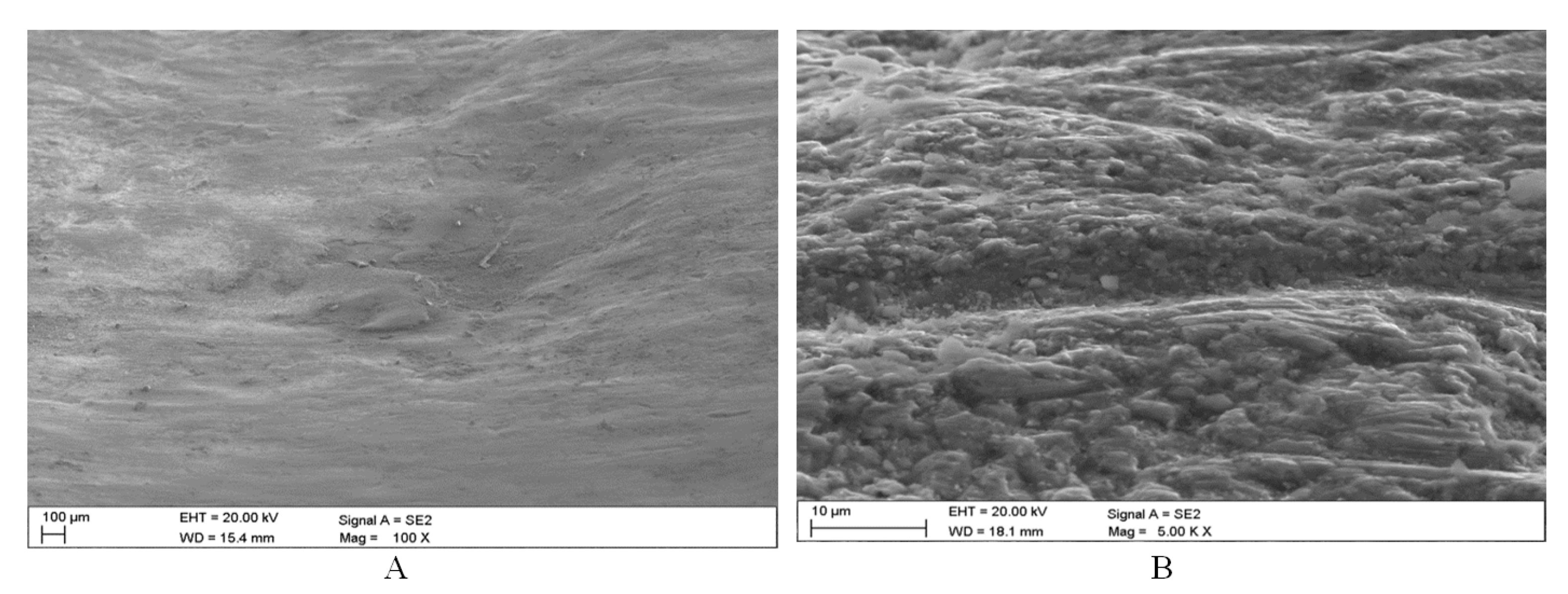 Energies 14 01981 g011