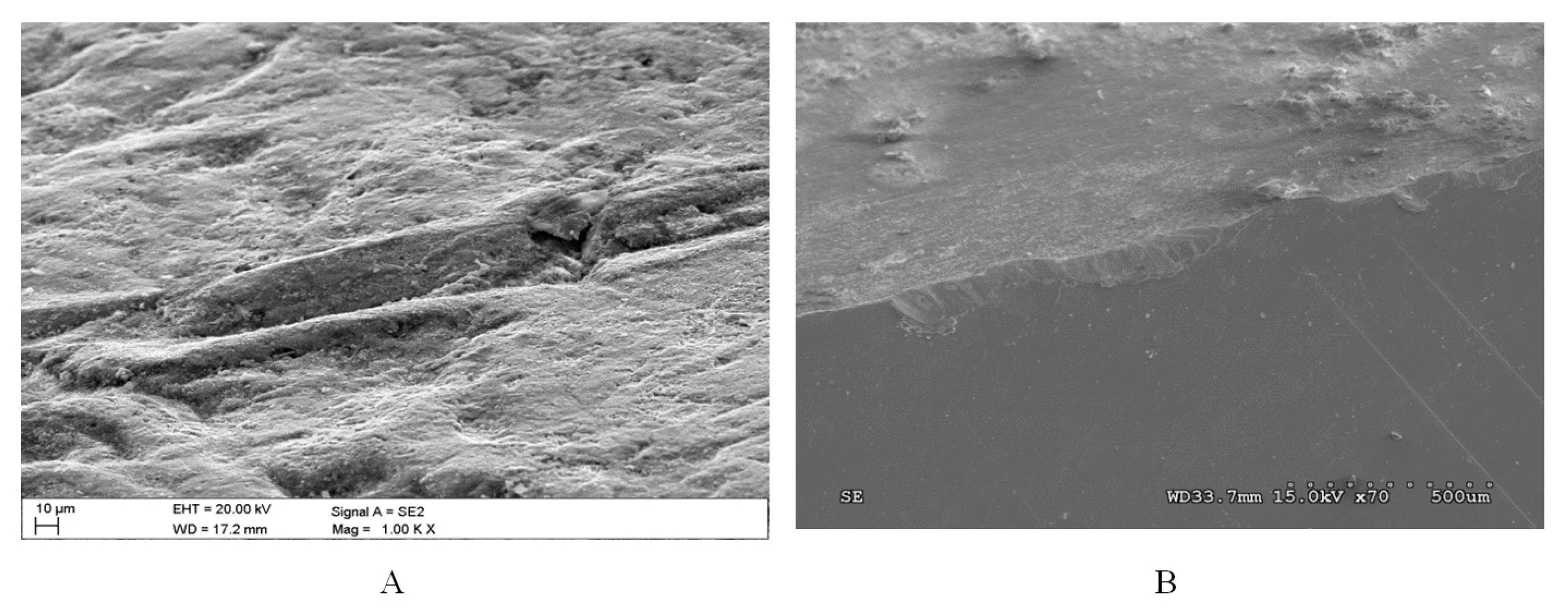 Energies 14 01981 g012