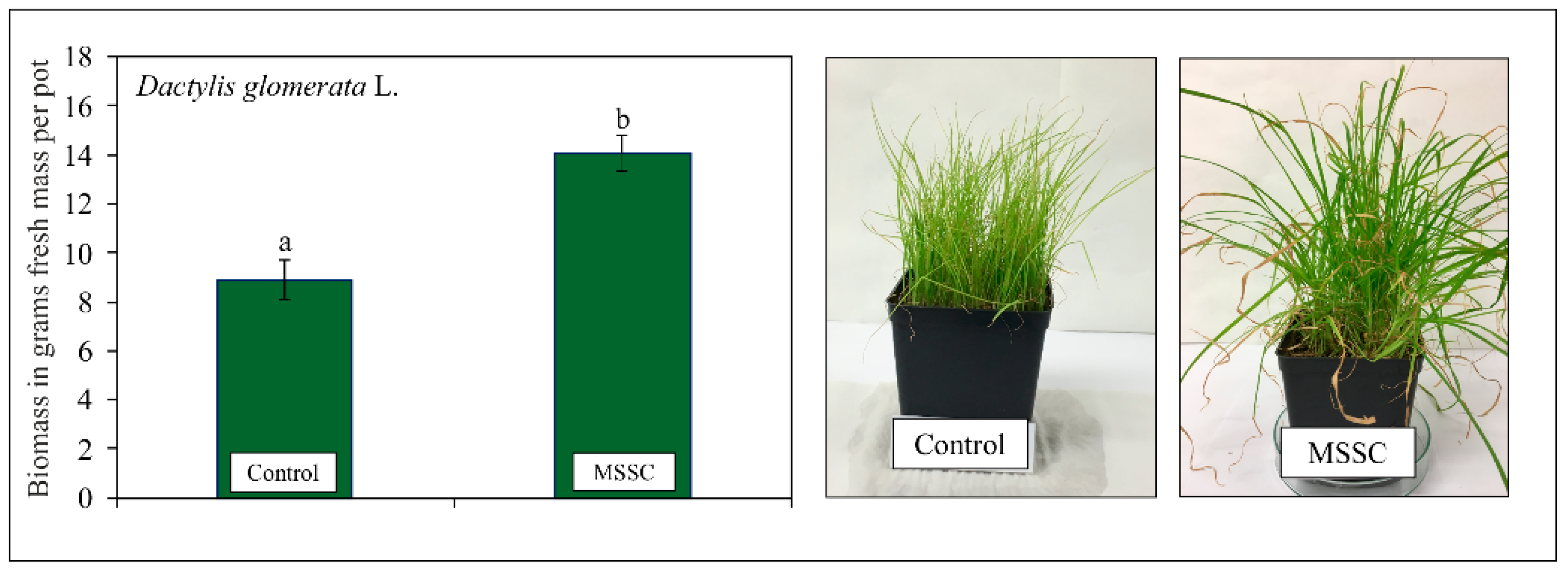 Energies 14 01984 g001