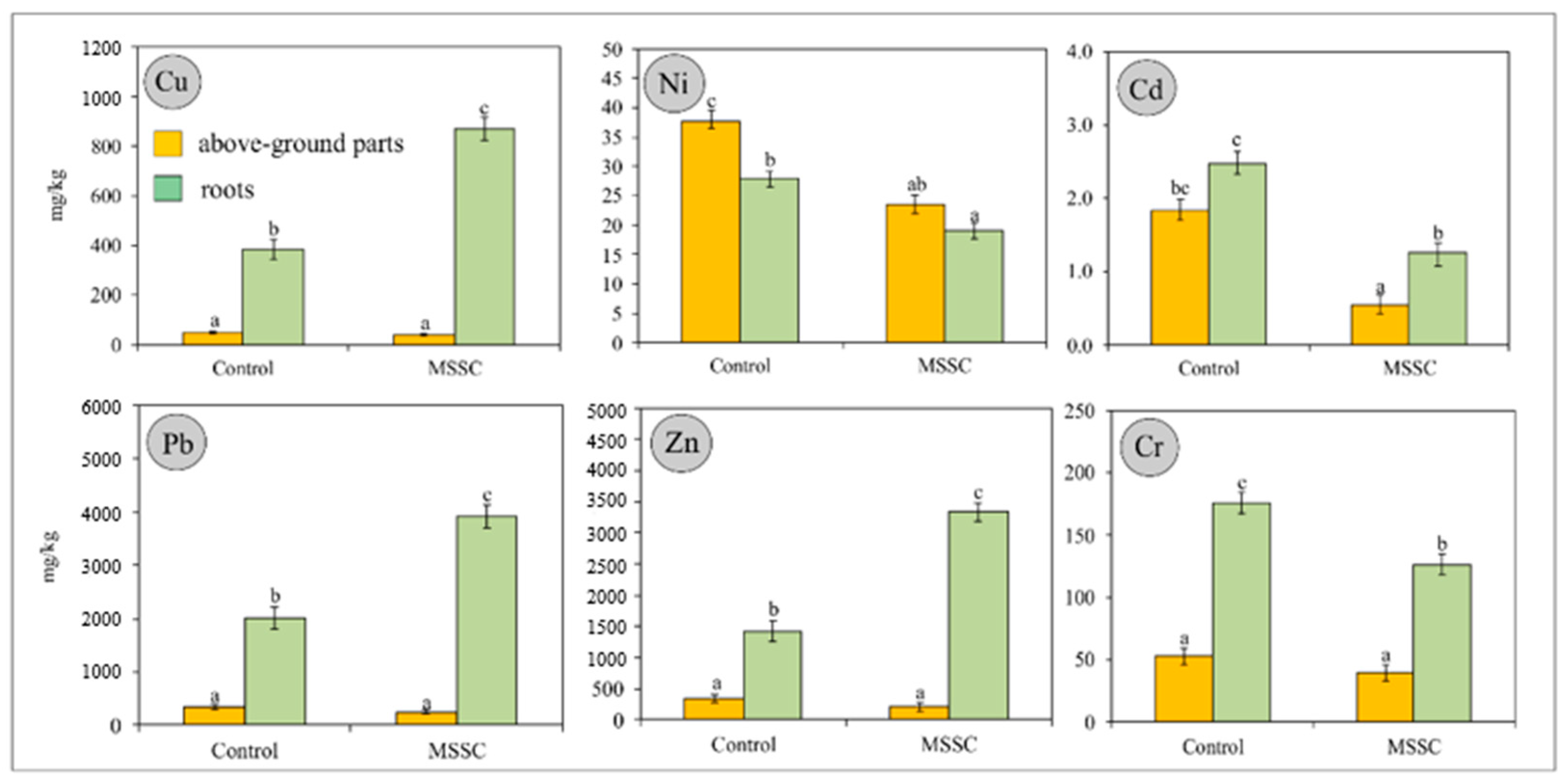Energies 14 01984 g002
