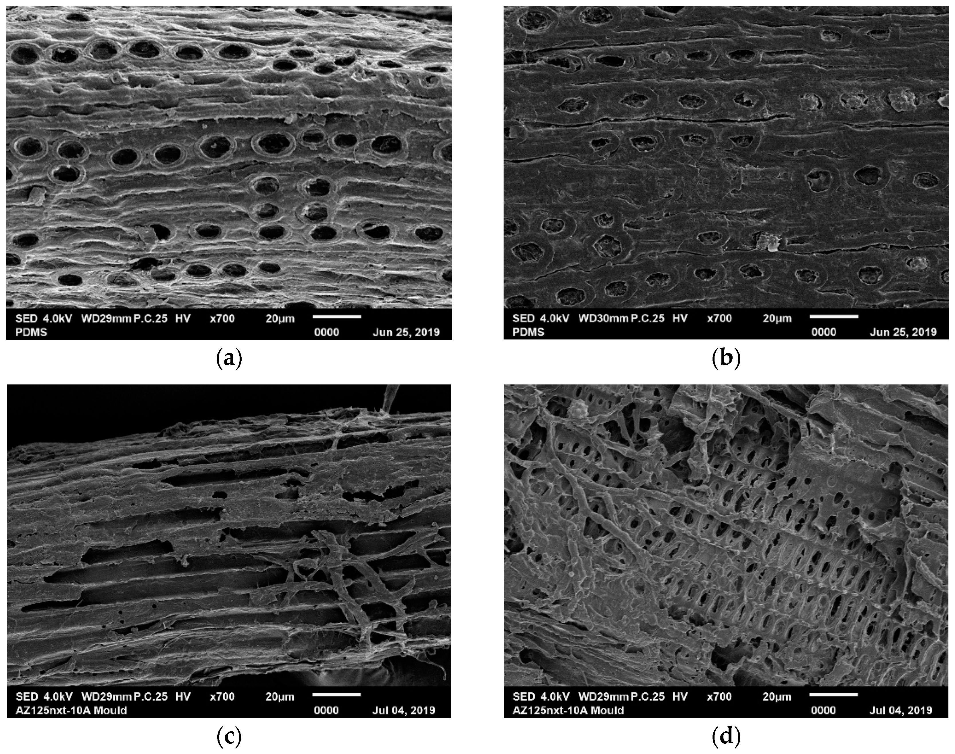 Energies 14 02098 g007 Energies 14 02098 g007