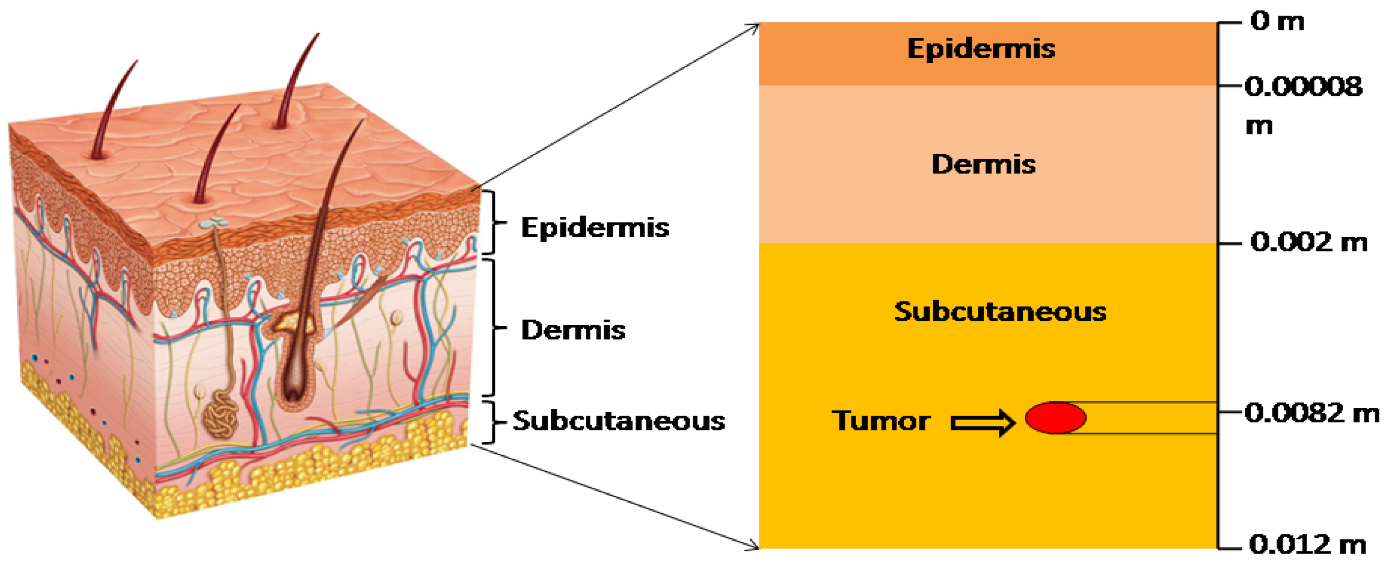 Energies 14 02254 g001 Energies 14 02254 g001