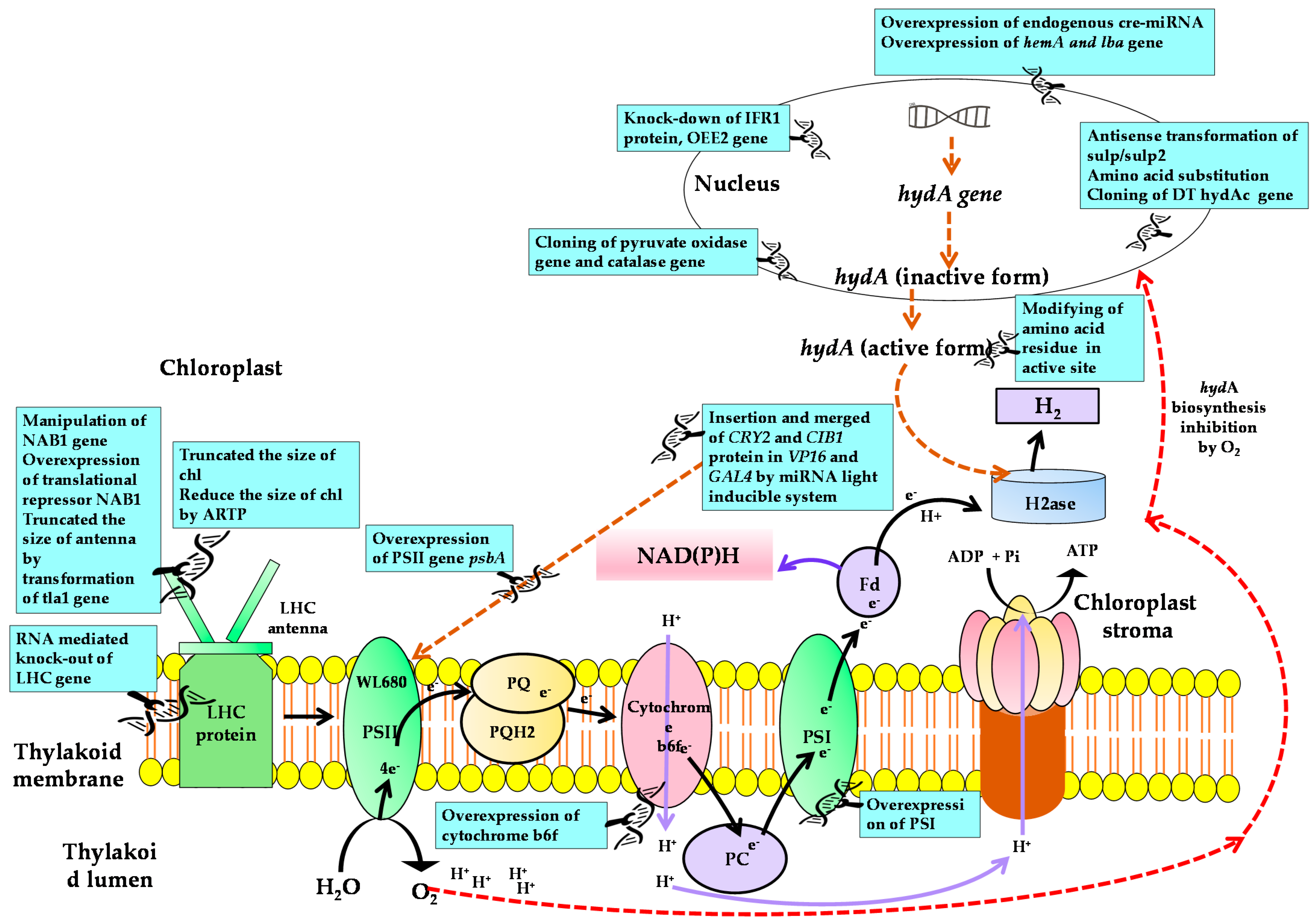 Energies 14 02282 g005 Energies 14 02282 g005