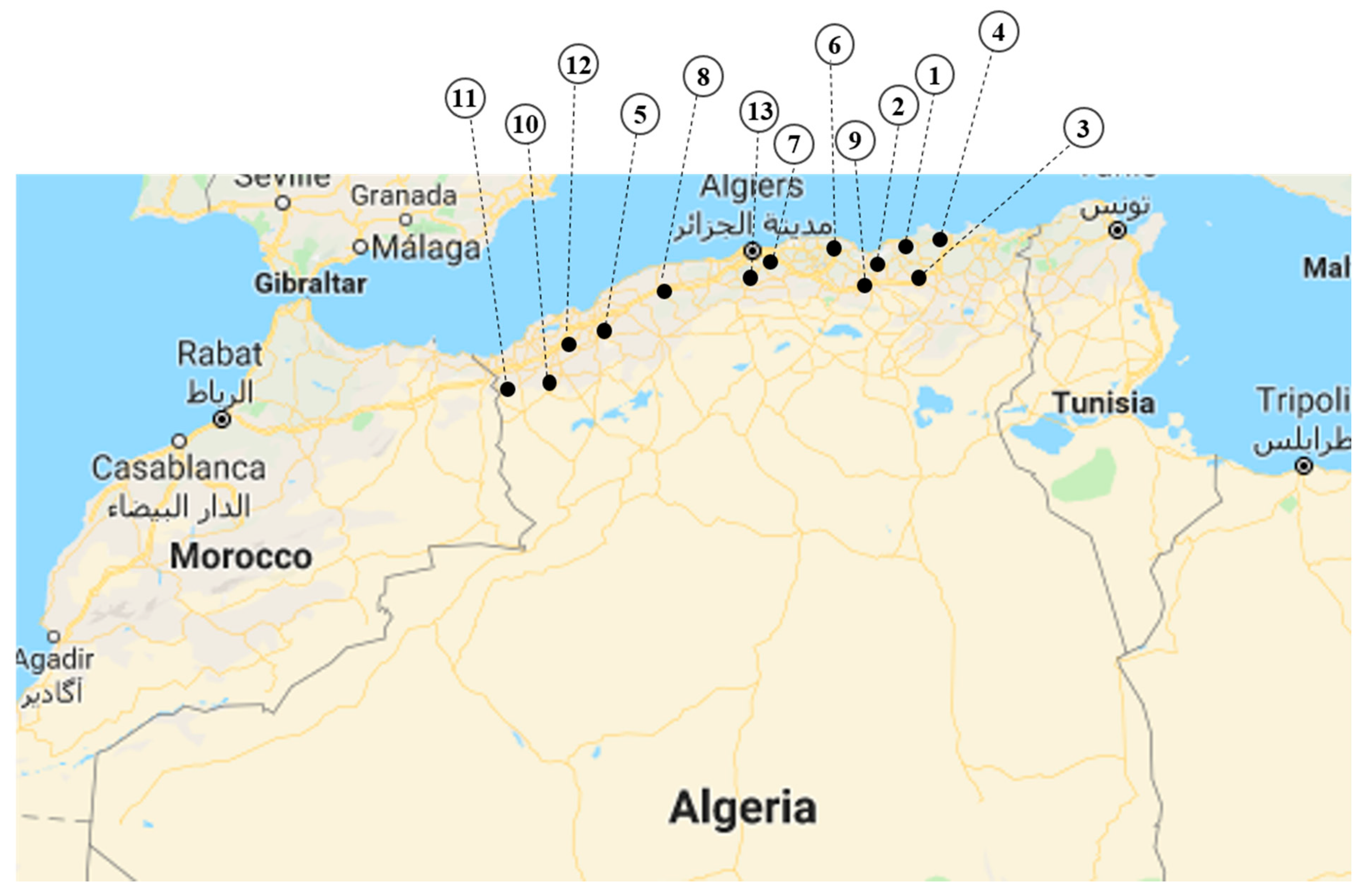 Energies 14 02354 g020