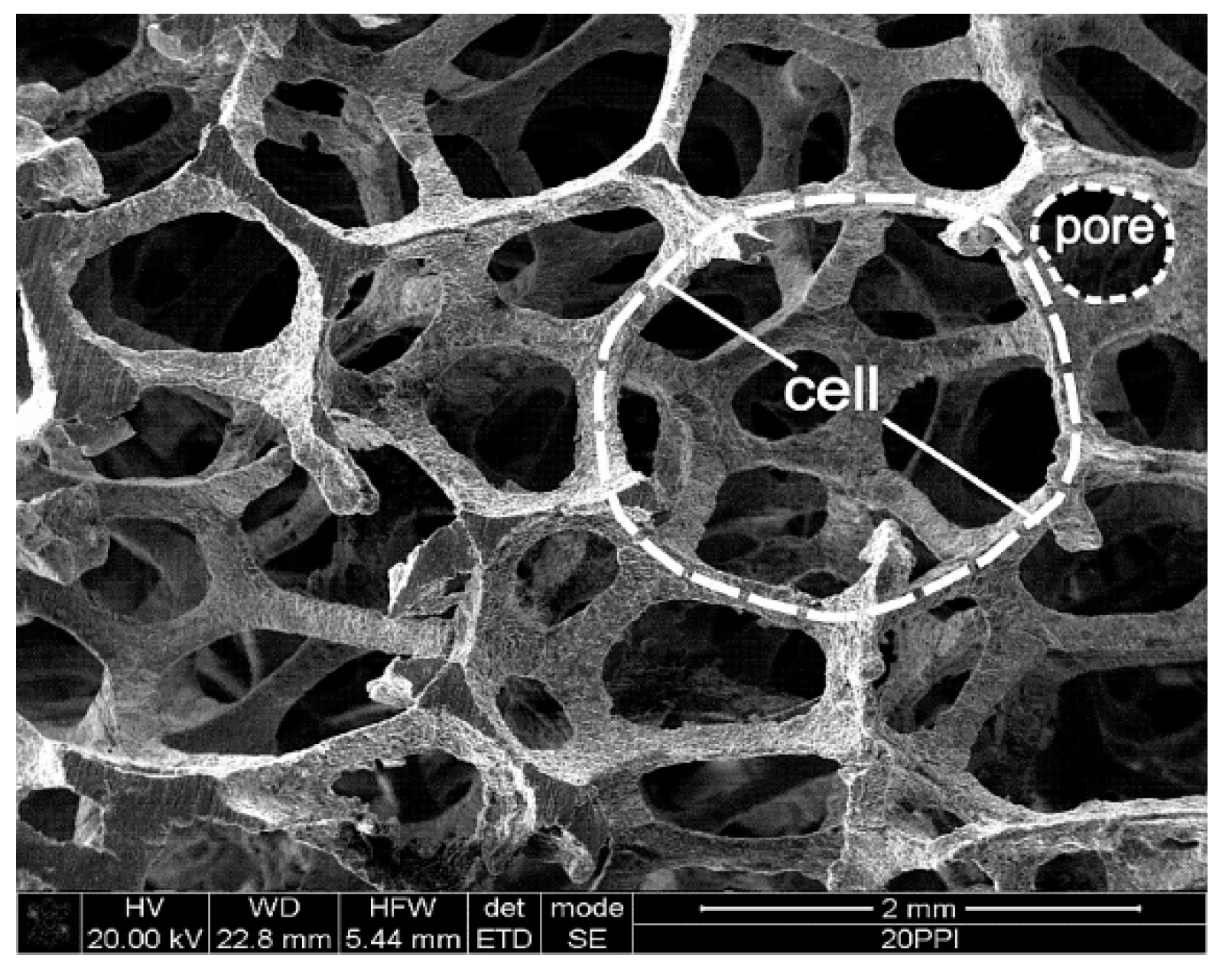 Energies 14 02419 g001