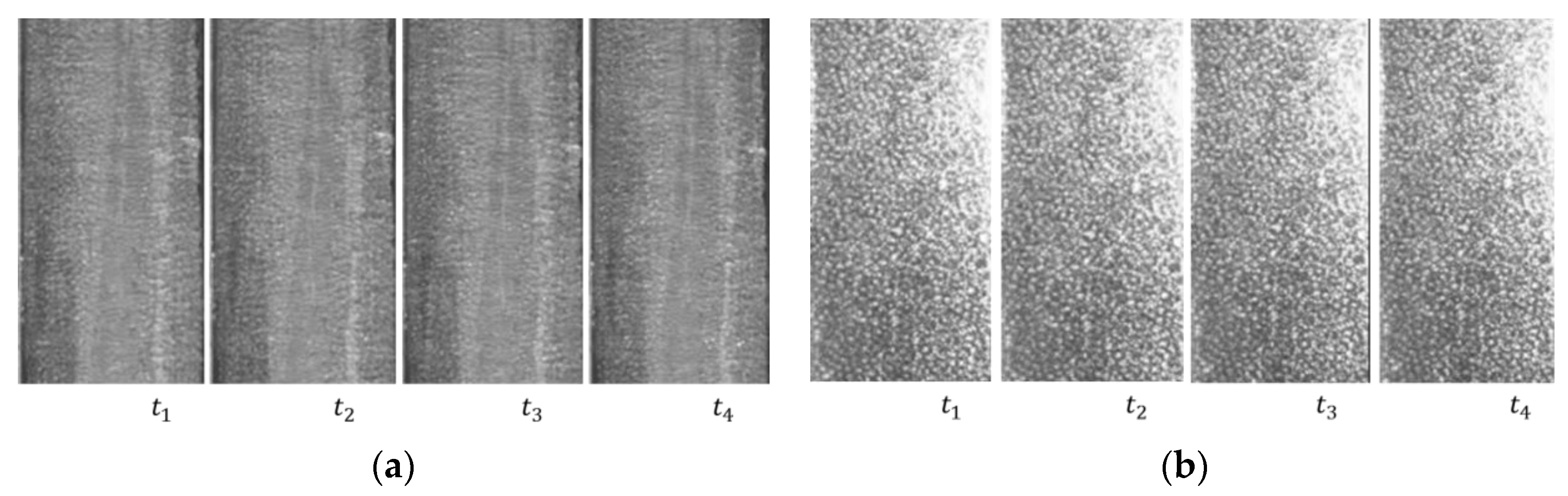 Energies 14 02440 g007 Energies 14 02440 g007
