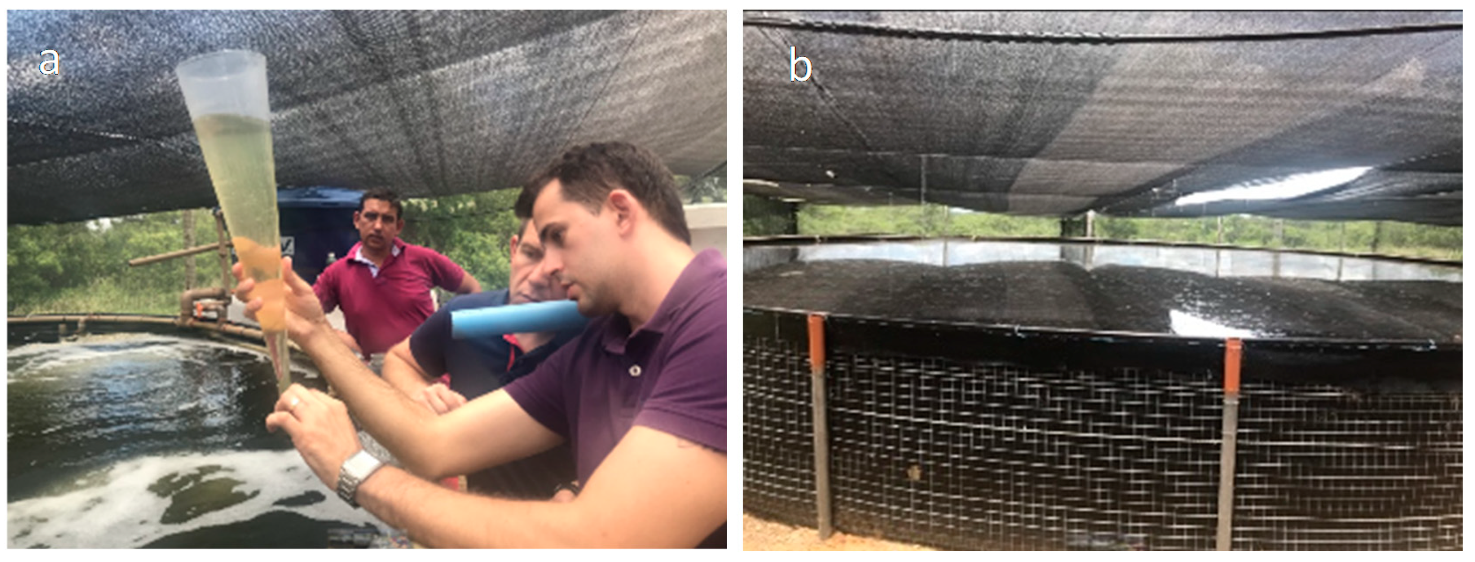 Energies 14 02519 g001