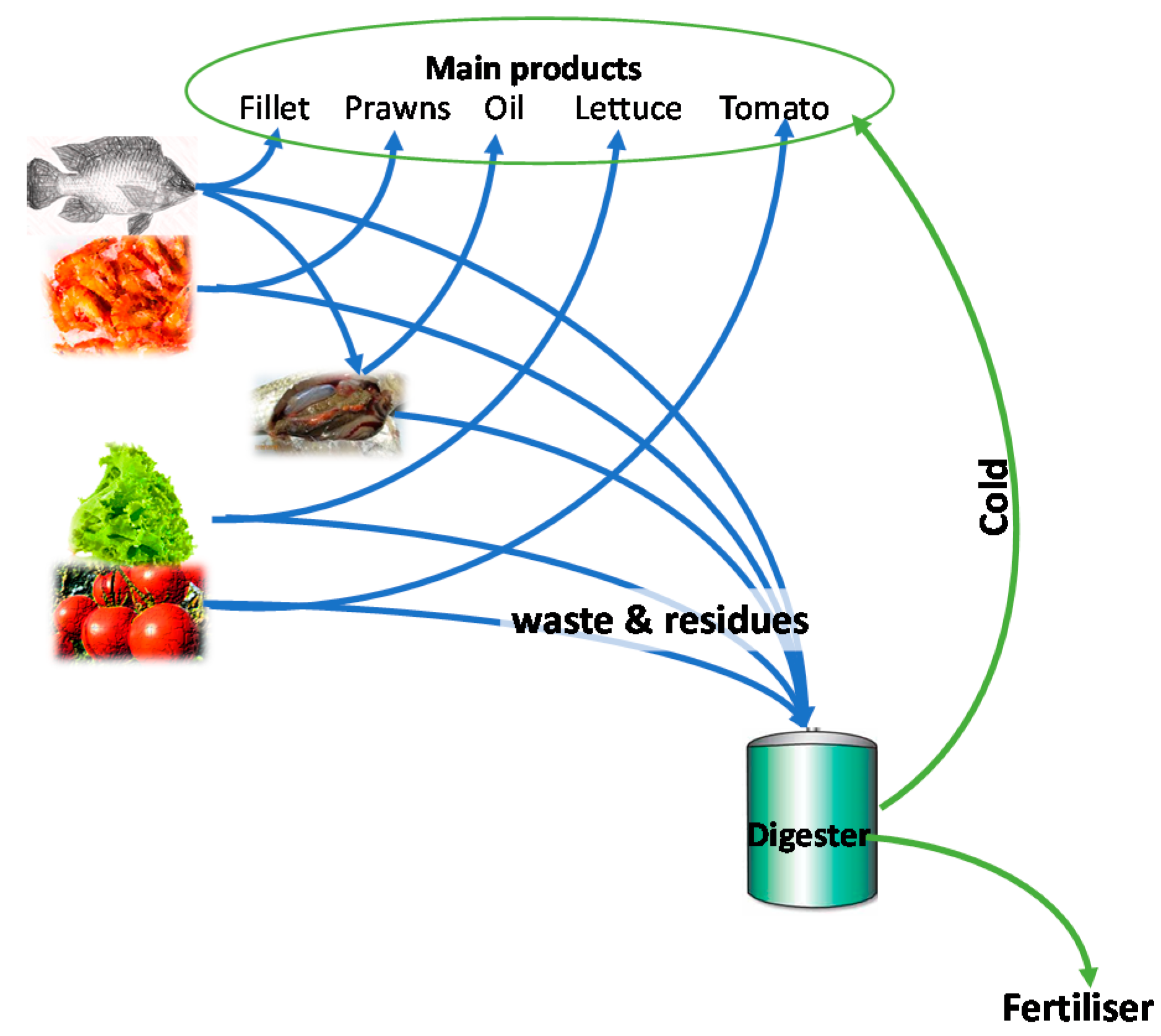Energies 14 02519 g002