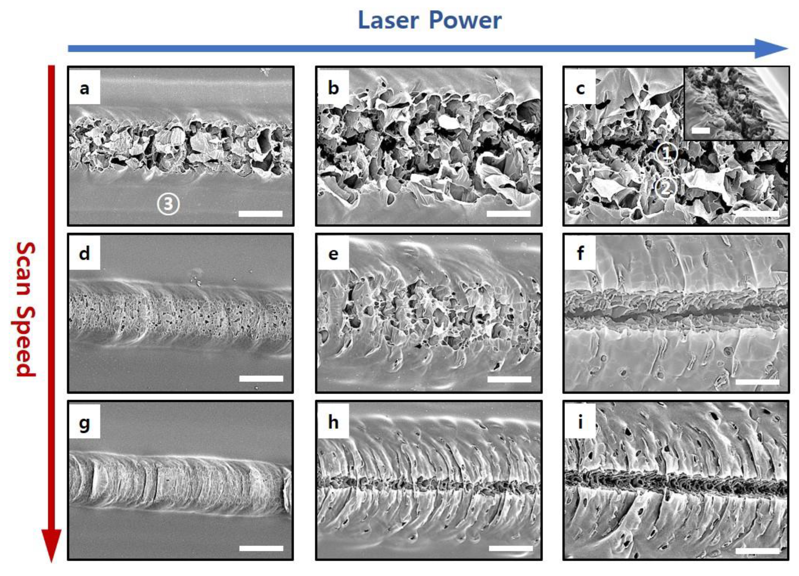 Energies 14 02547 g002