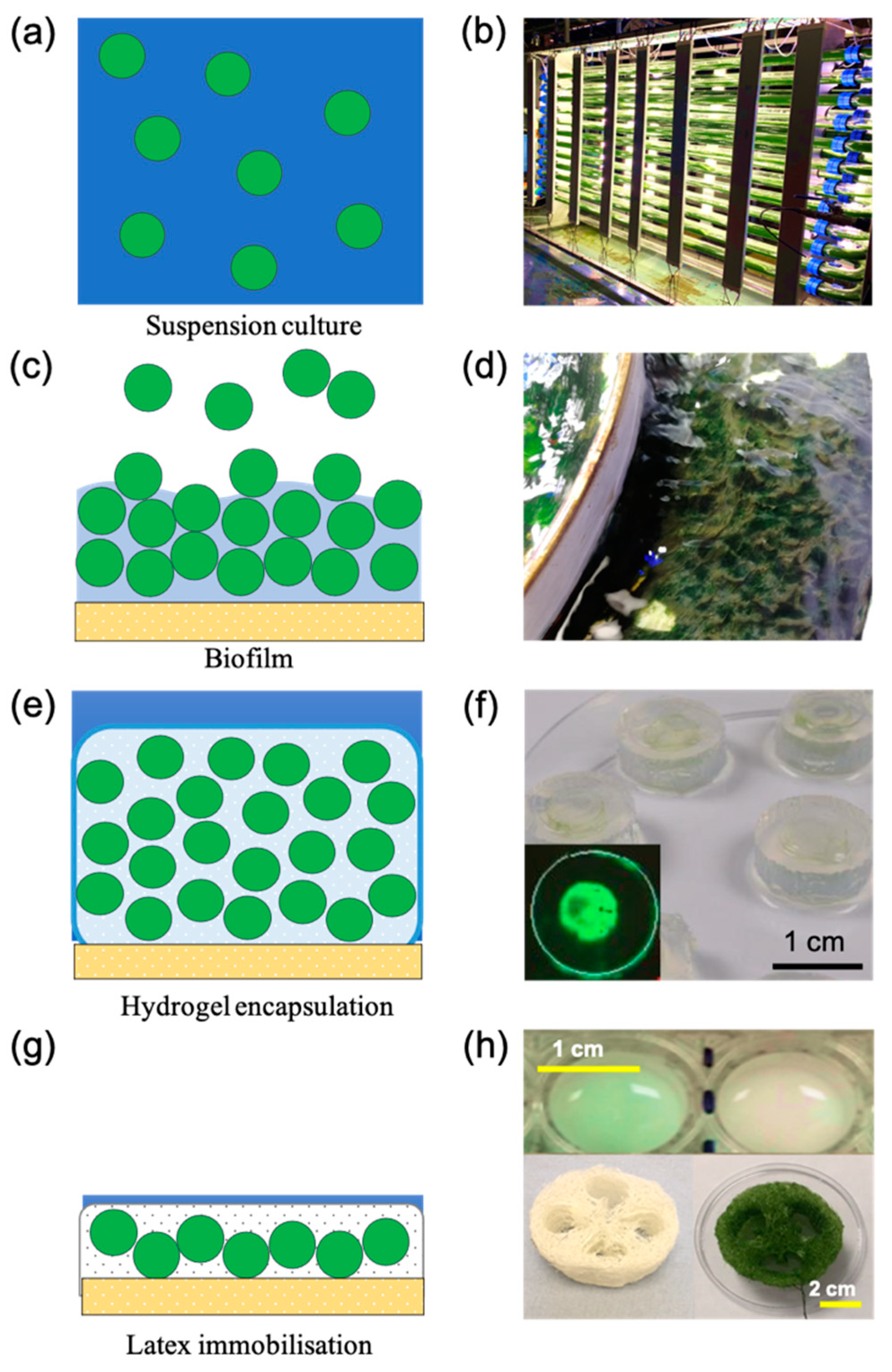 Energies 14 02566 g001