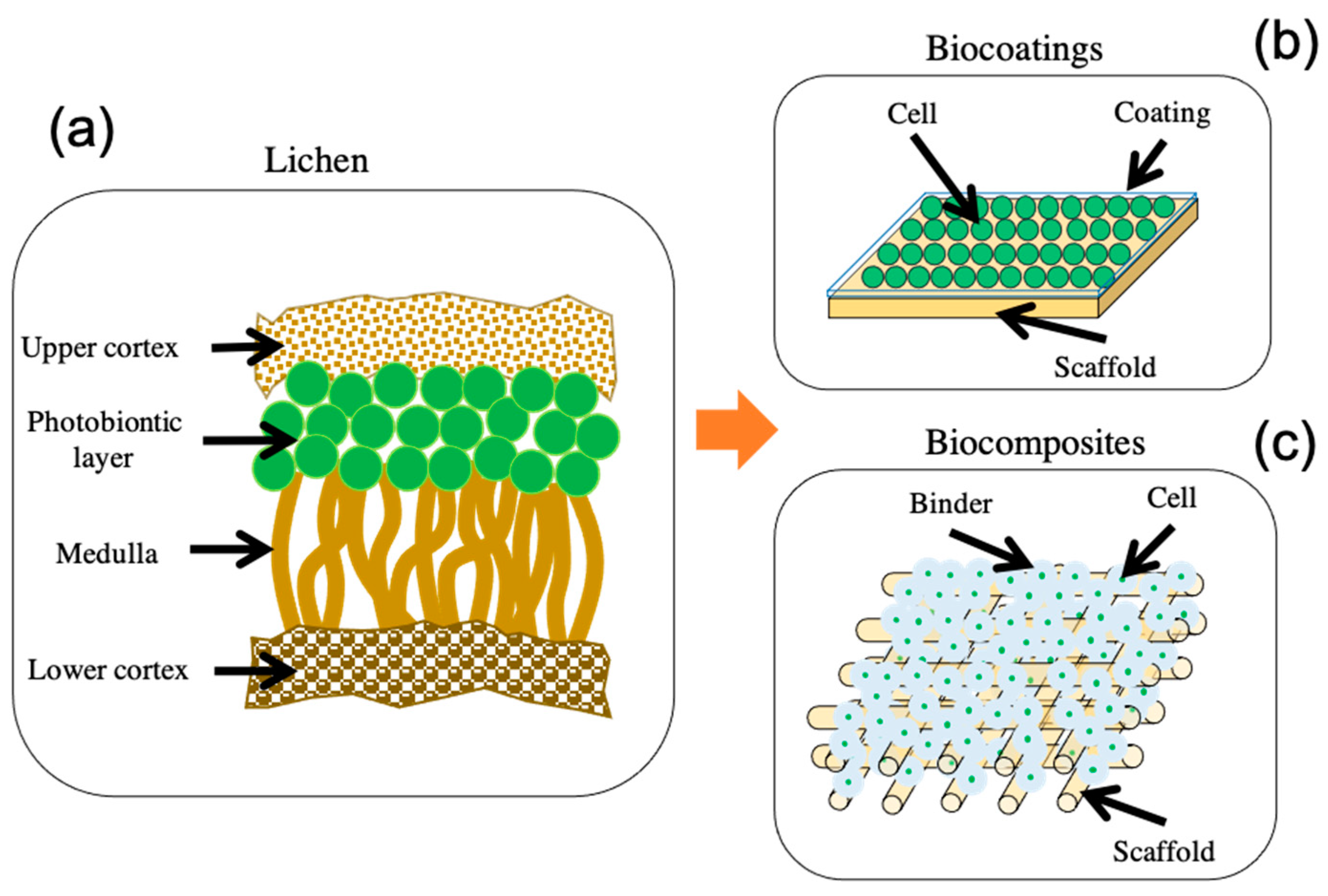 Energies 14 02566 g005
