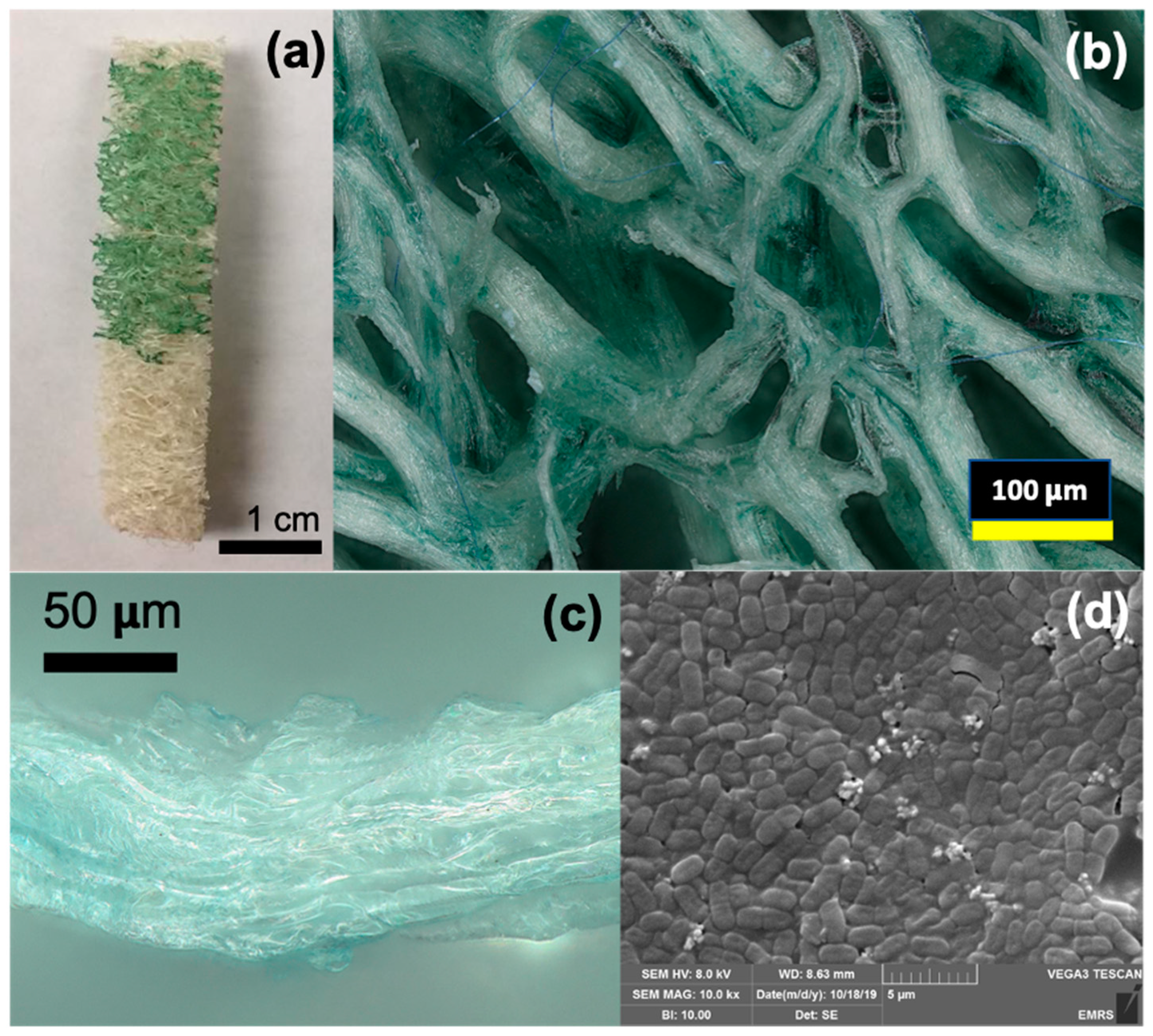 Energies 14 02566 g006