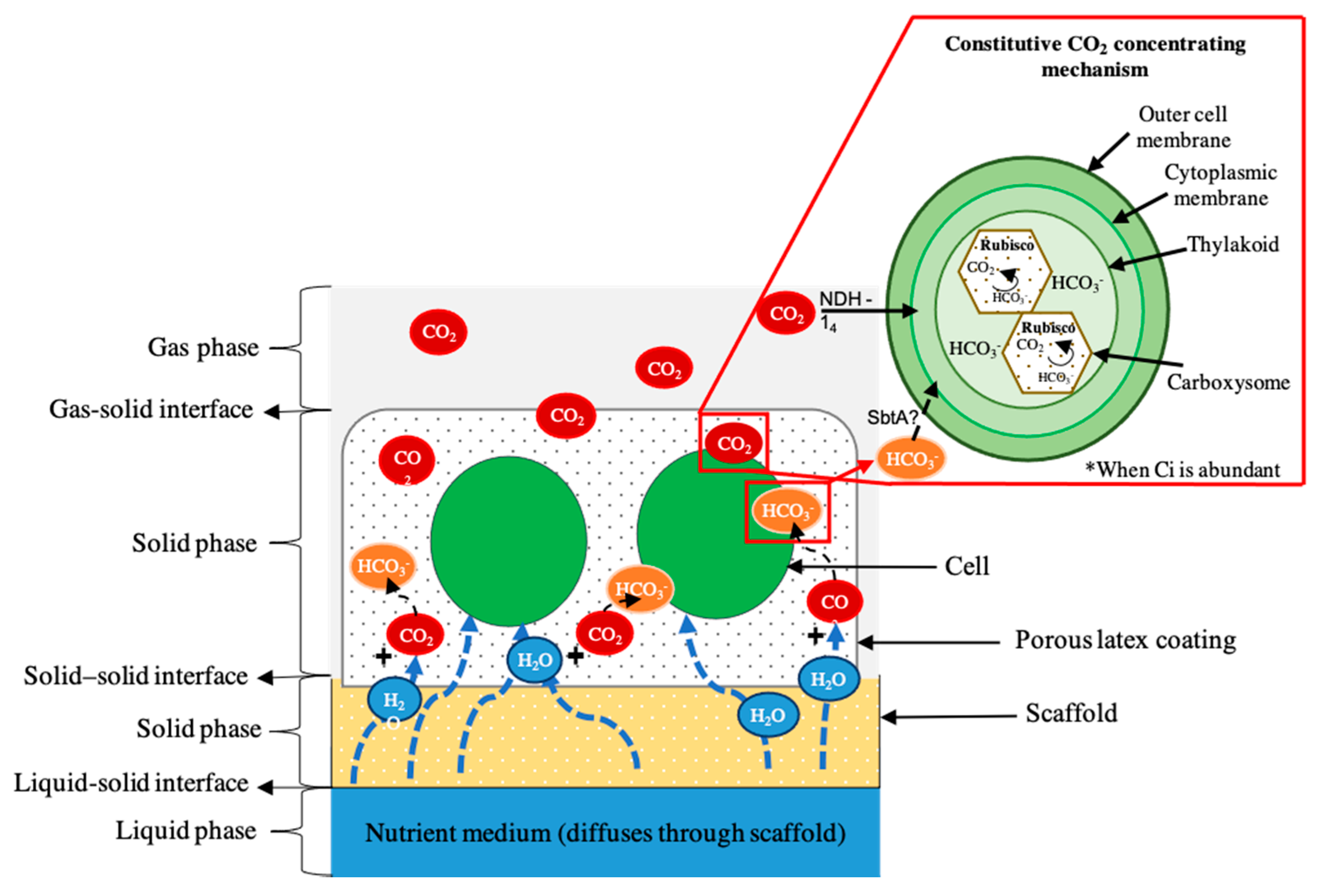 Energies 14 02566 g007
