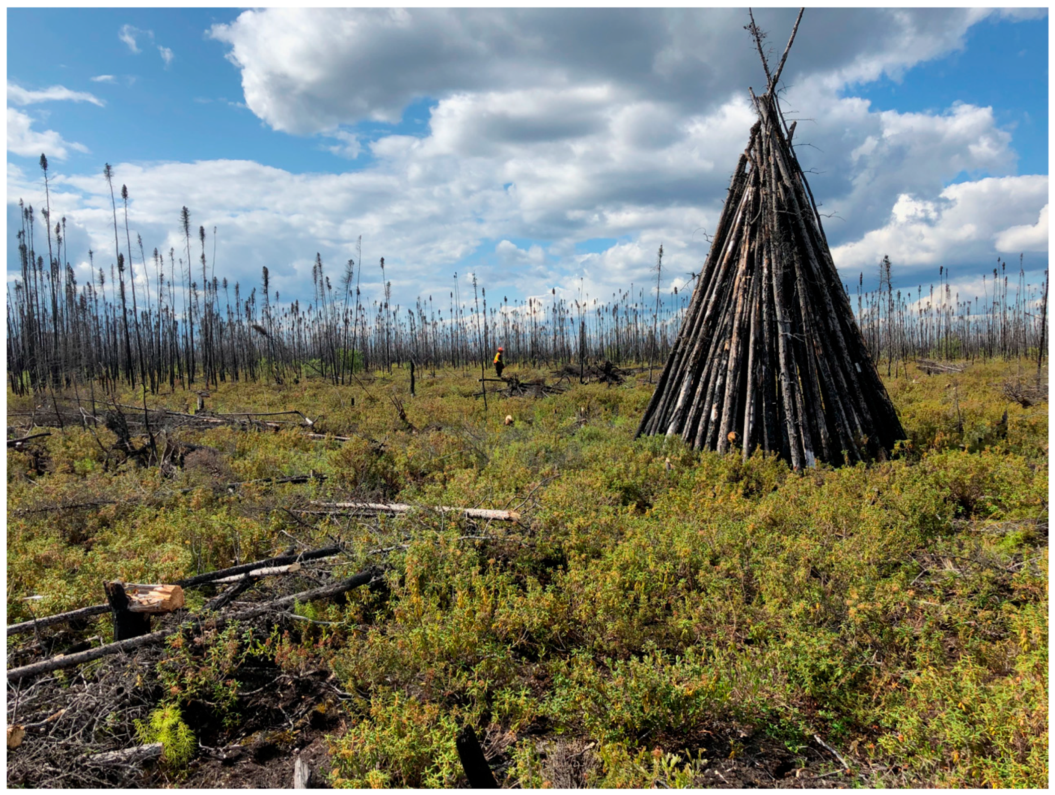 Energies 14 02603 g003 Energies 14 02603 g003