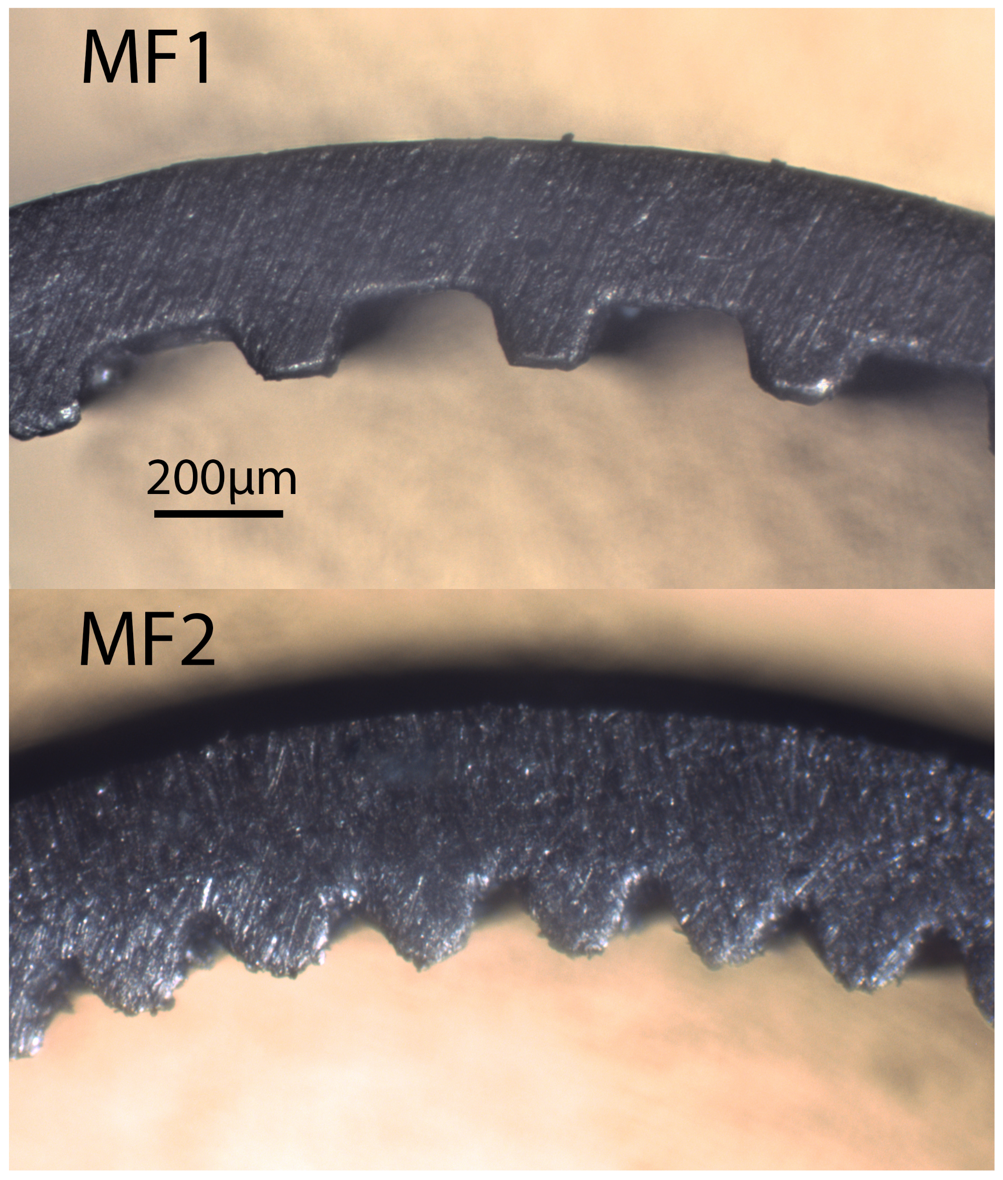 Energies 14 02647 g005 550