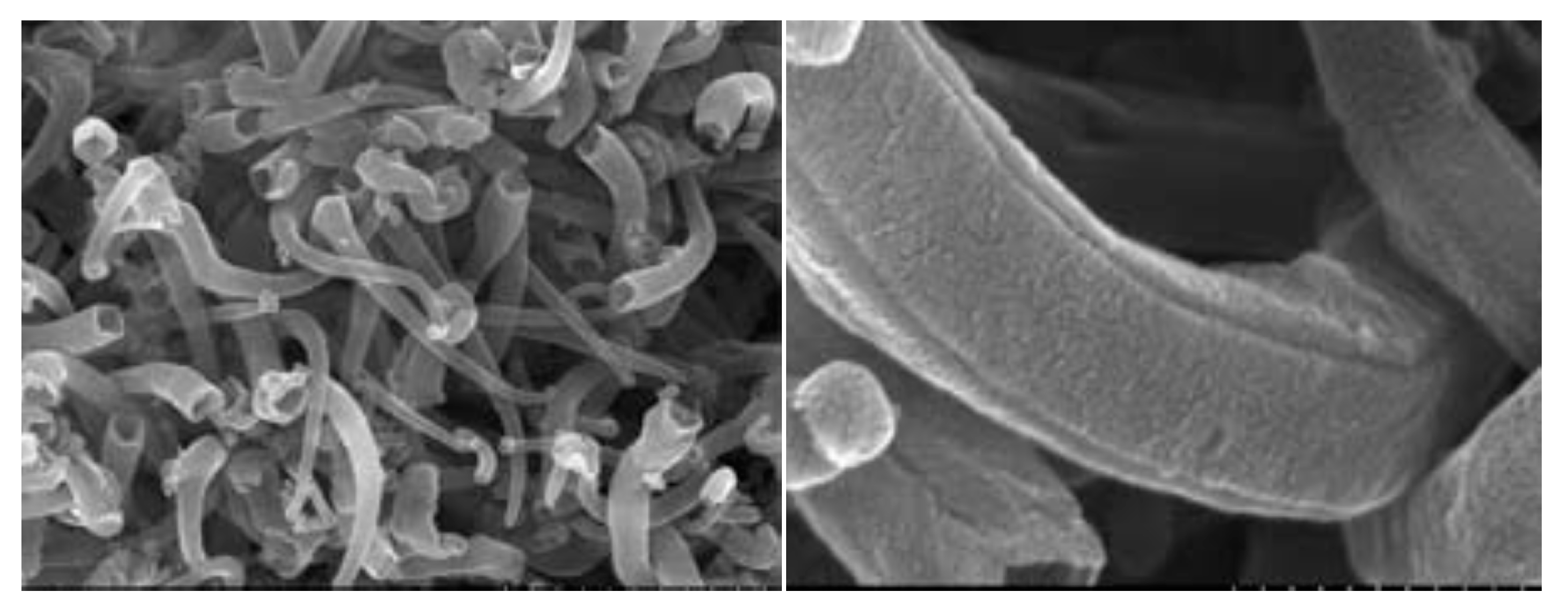 Energies 14 02649 g005 Energies 14 02649 g005