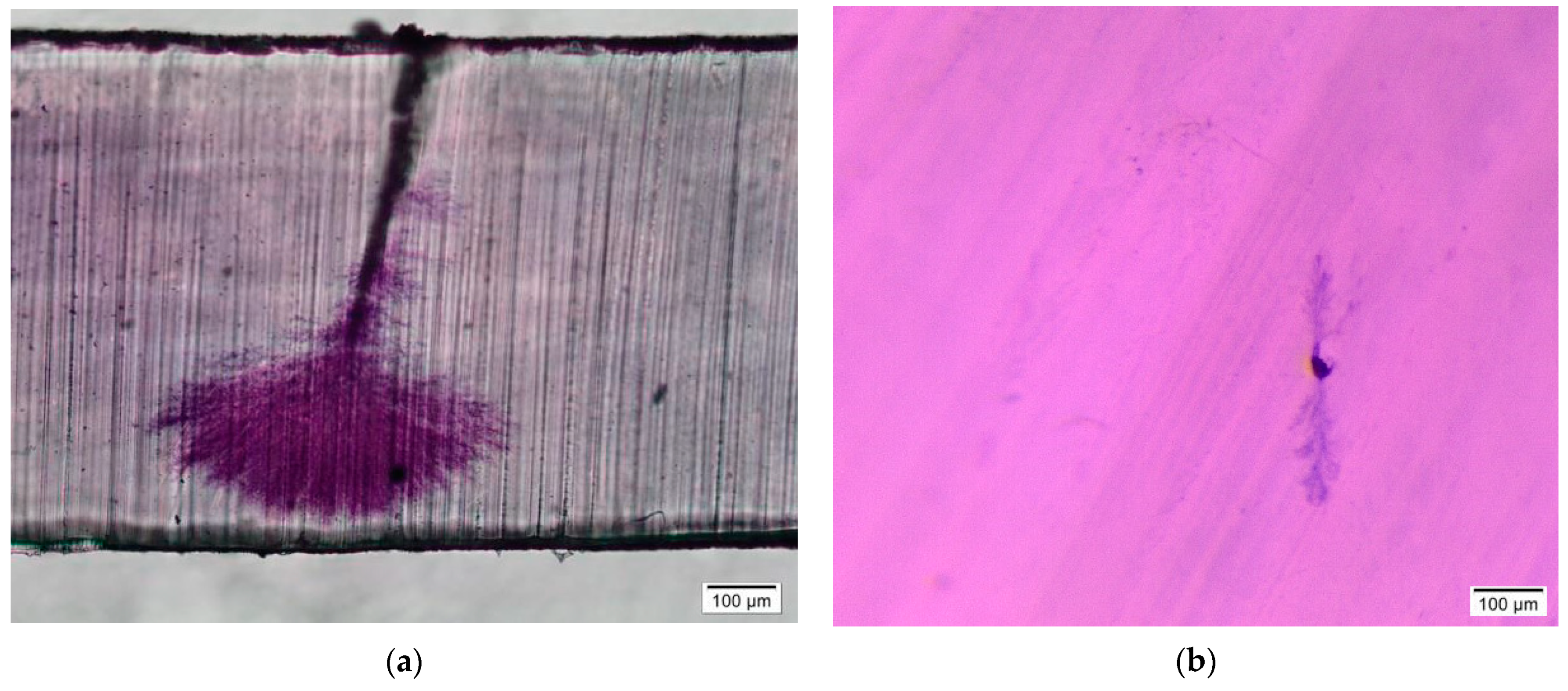 Energies 14 02761 g003