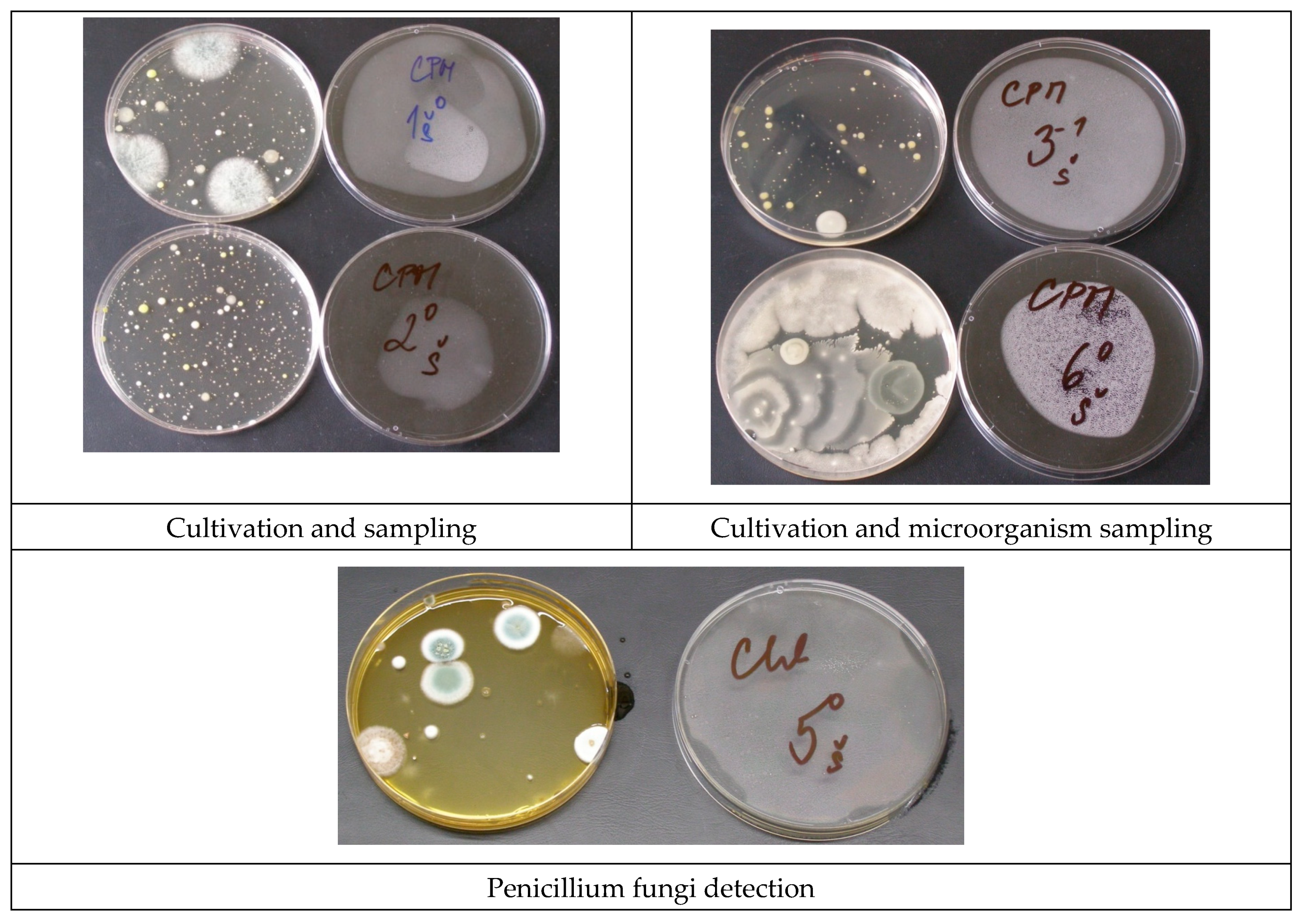 Energies 14 02827 g011 Energies 14 02827 g011