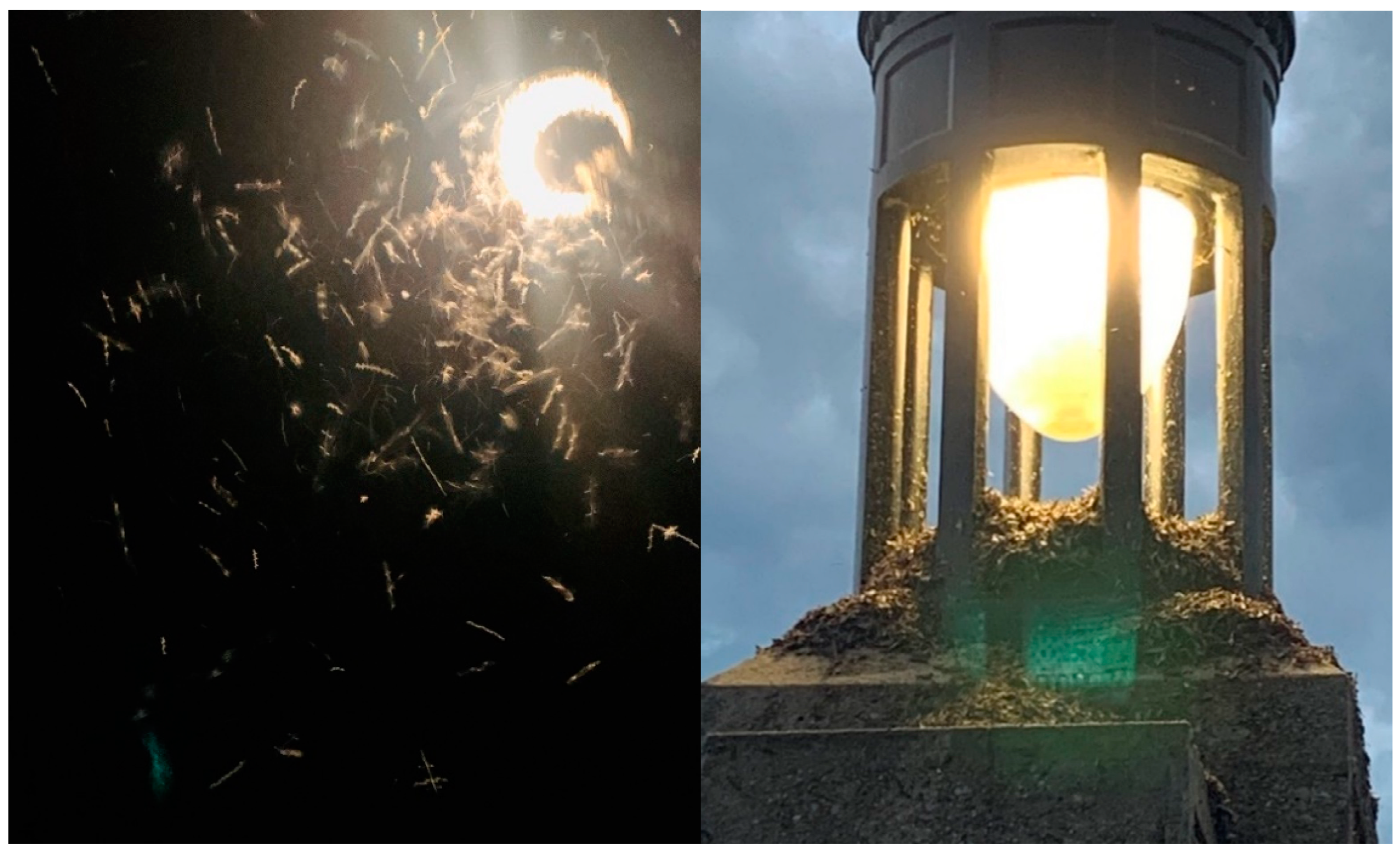 Energies 14 02934 g001