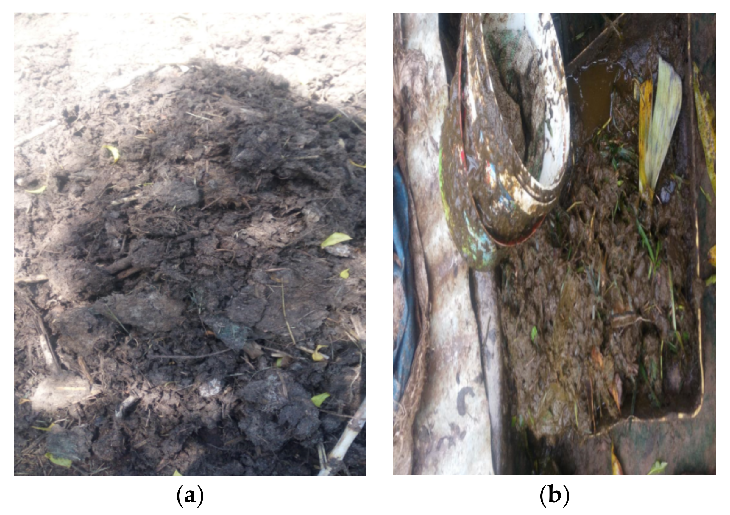 Energies 14 03088 g001 Energies 14 03088 g001