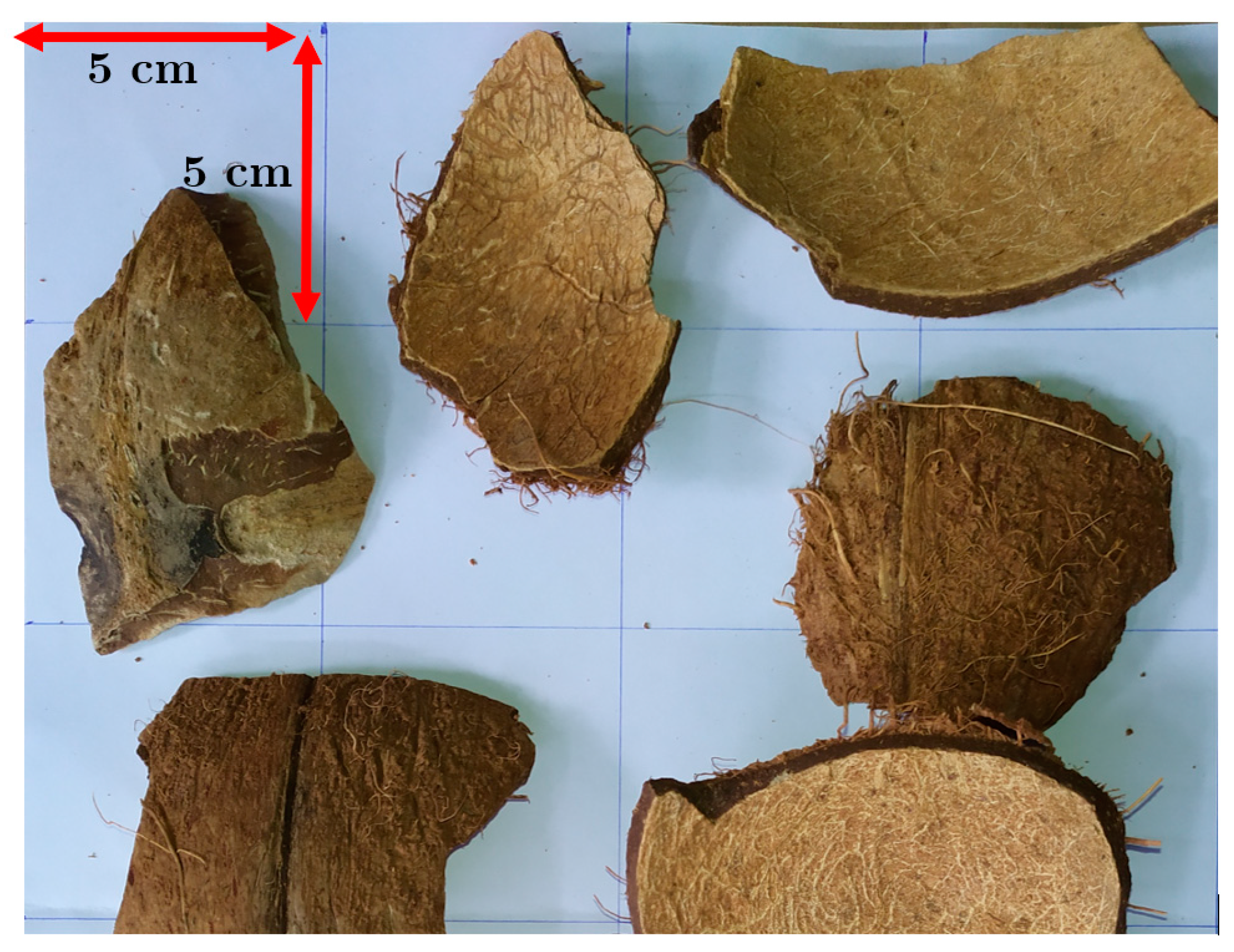 Energies 14 03341 g002