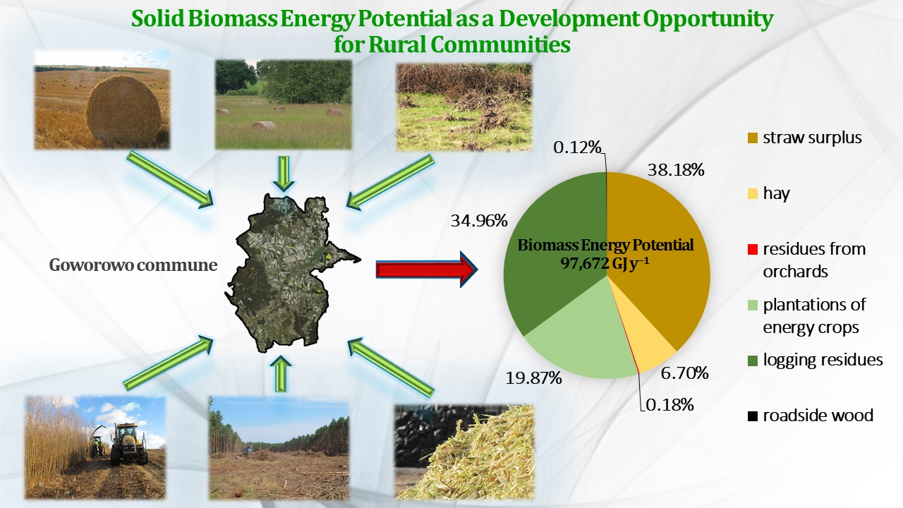 Biomass What Is