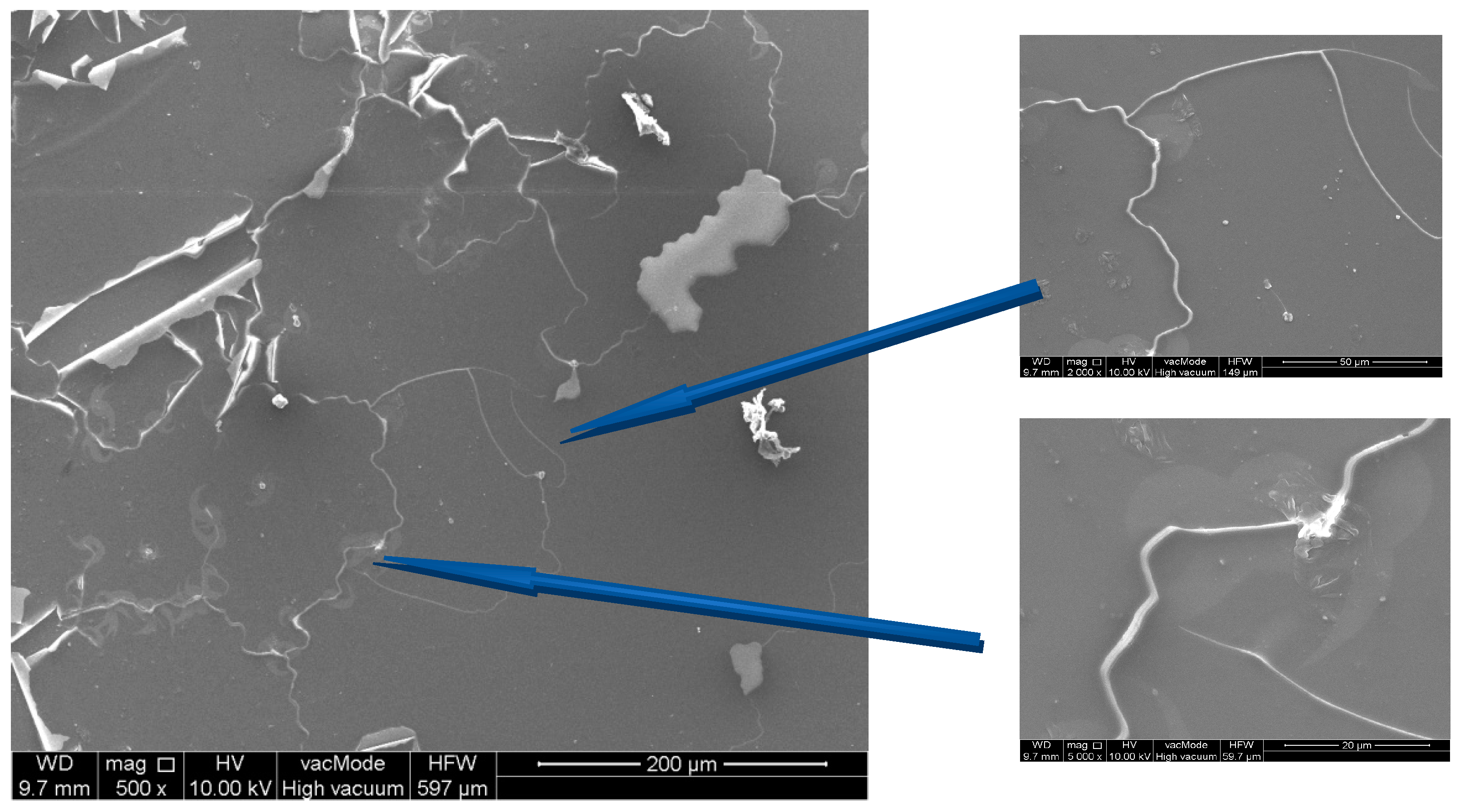 Energies 14 03423 g010