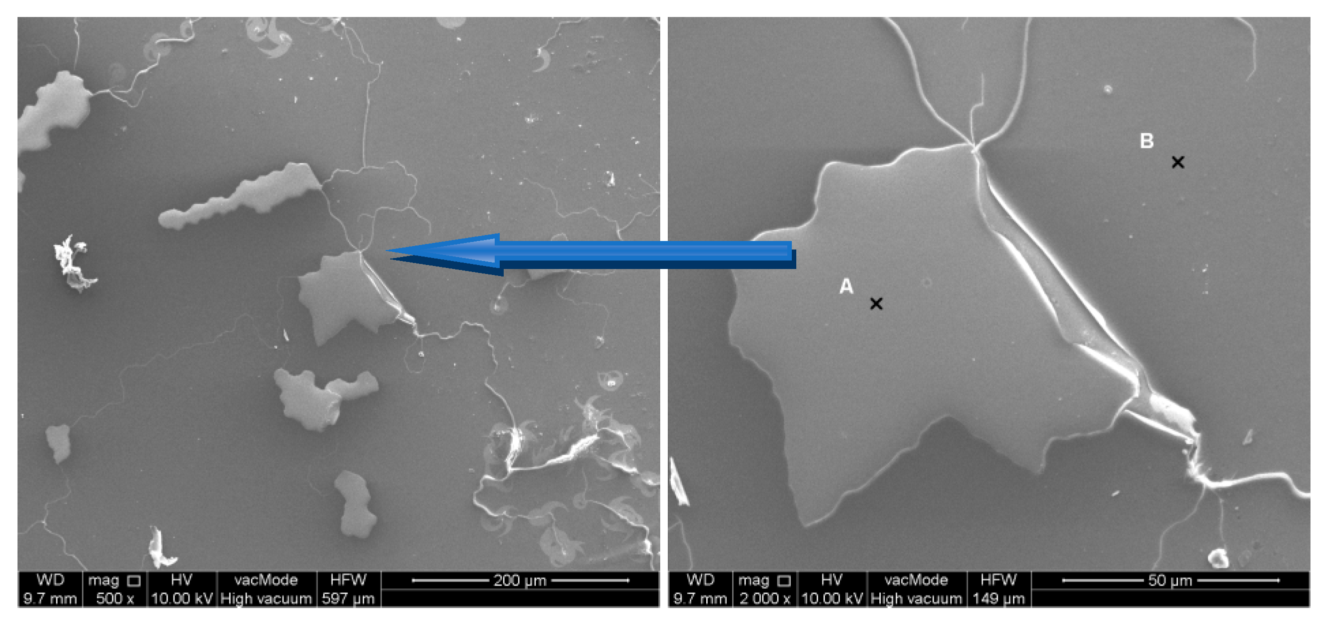 Energies 14 03423 g011