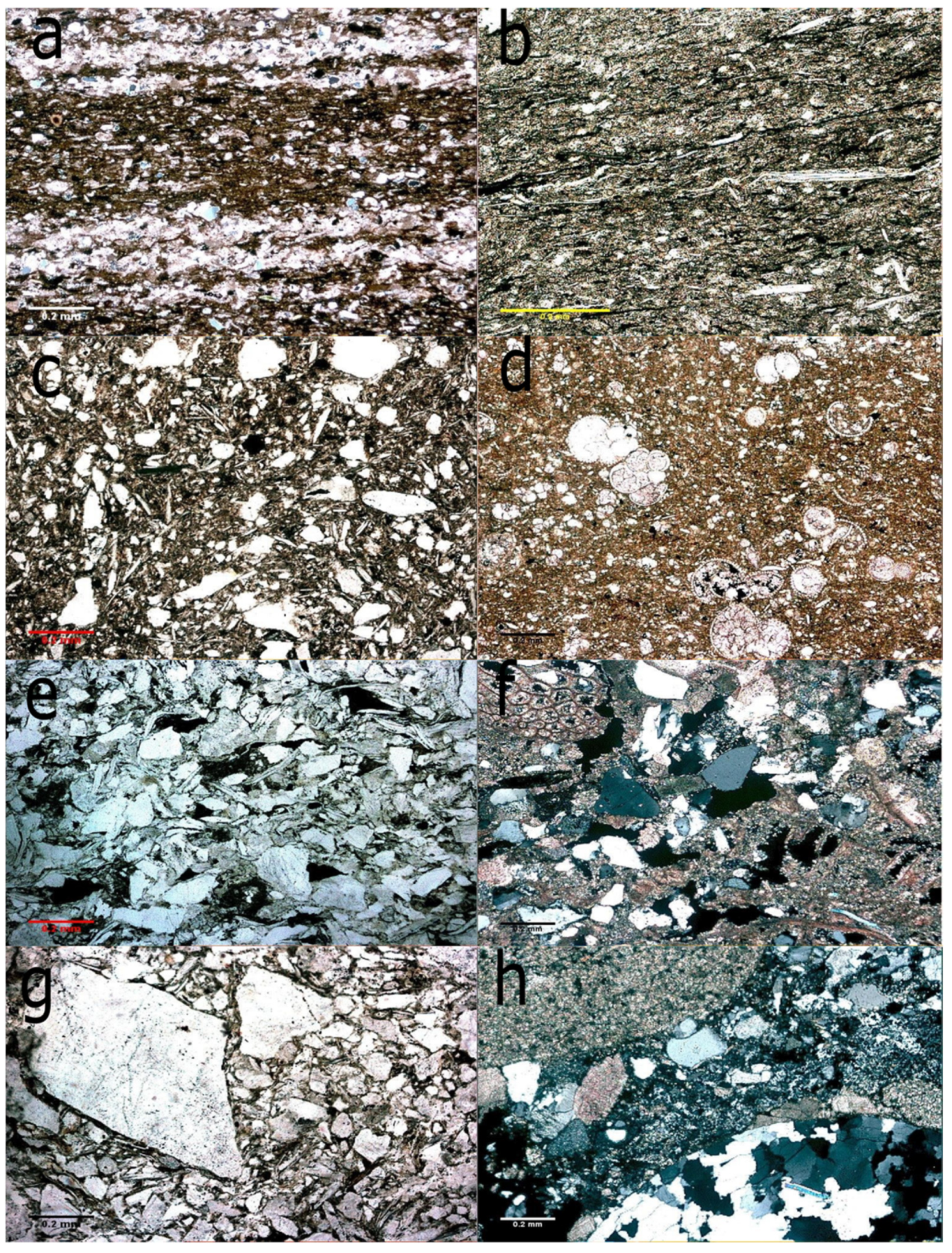 Energies 14 03503 g003