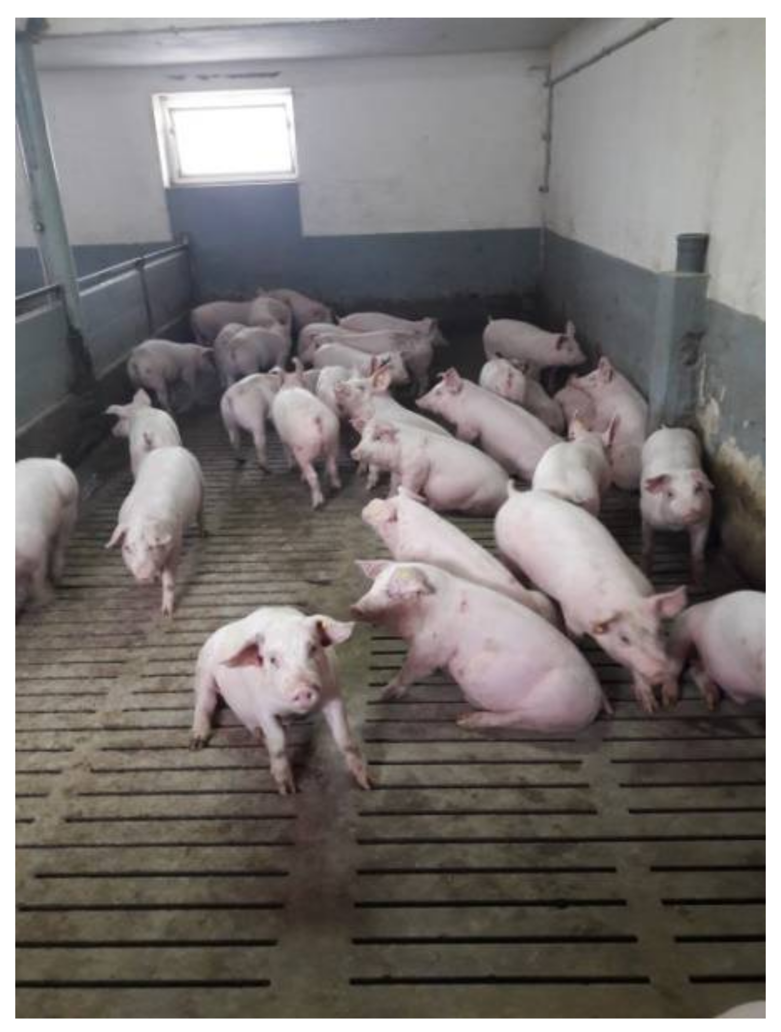 Energies 14 03538 g001