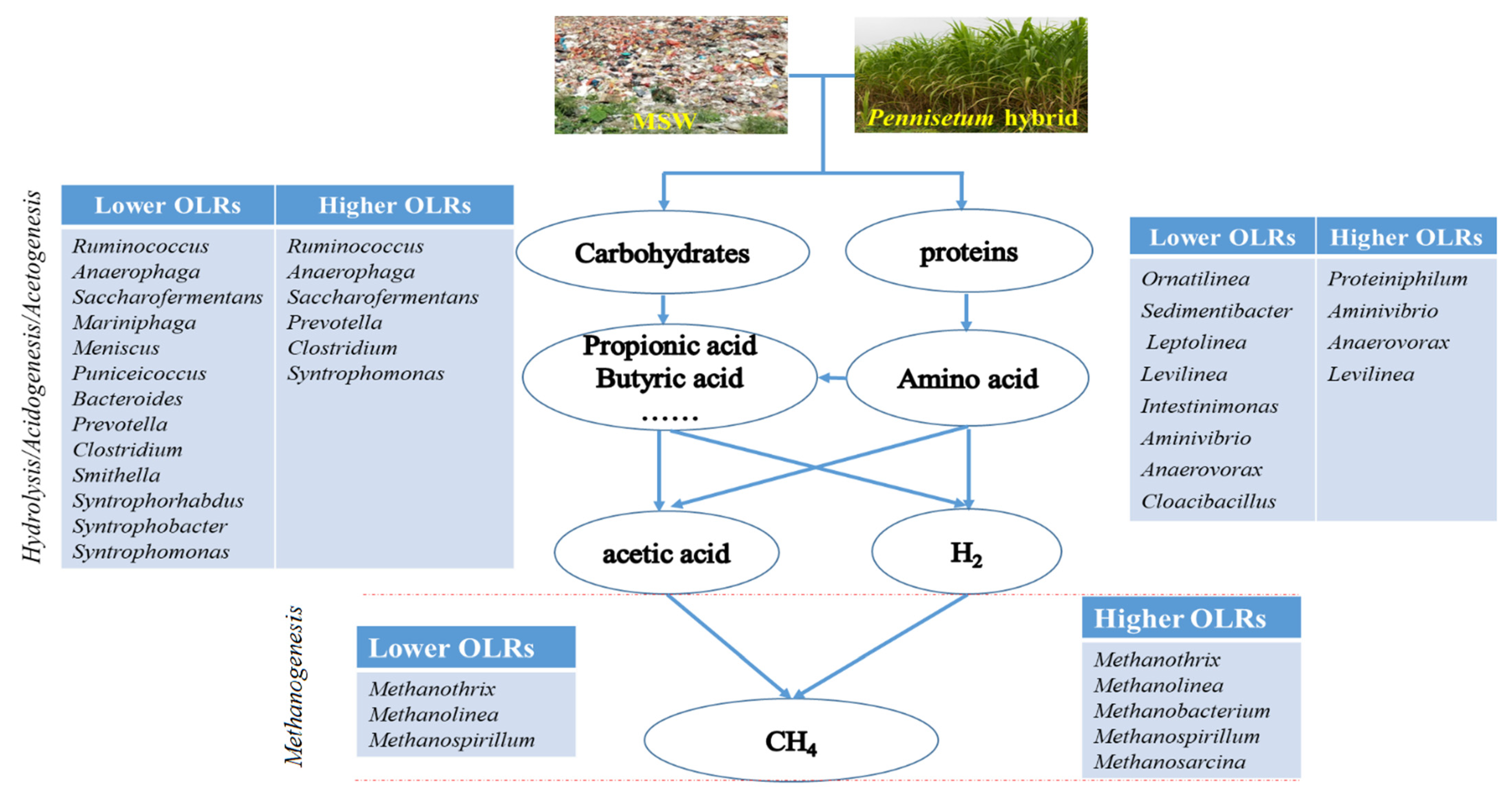 Energies 14 03651 g006