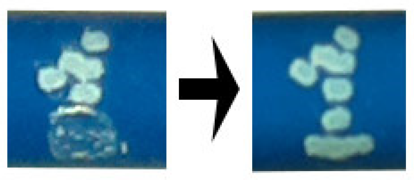 Energies 14 03659 g011