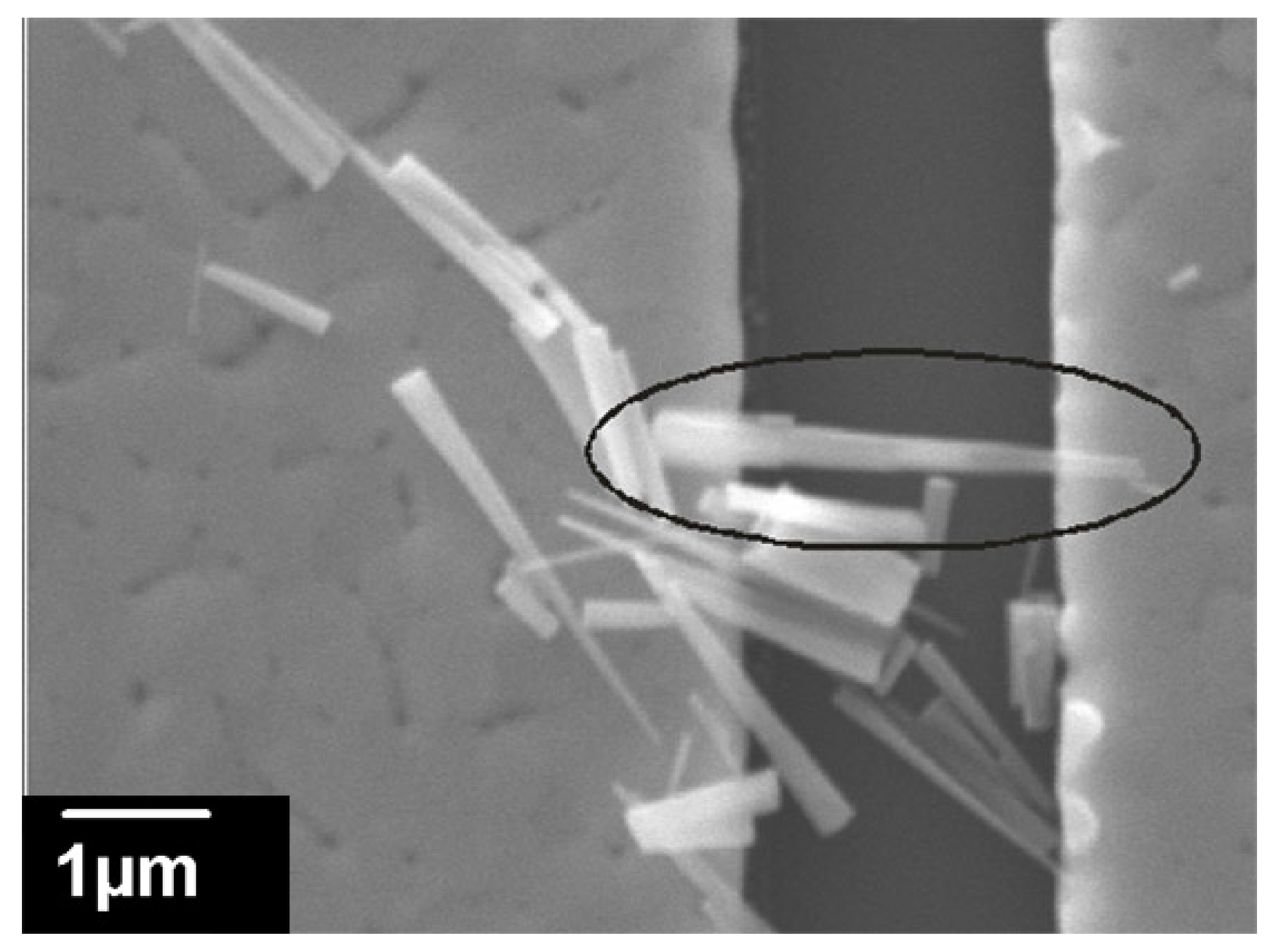 Energies 14 03750 g006