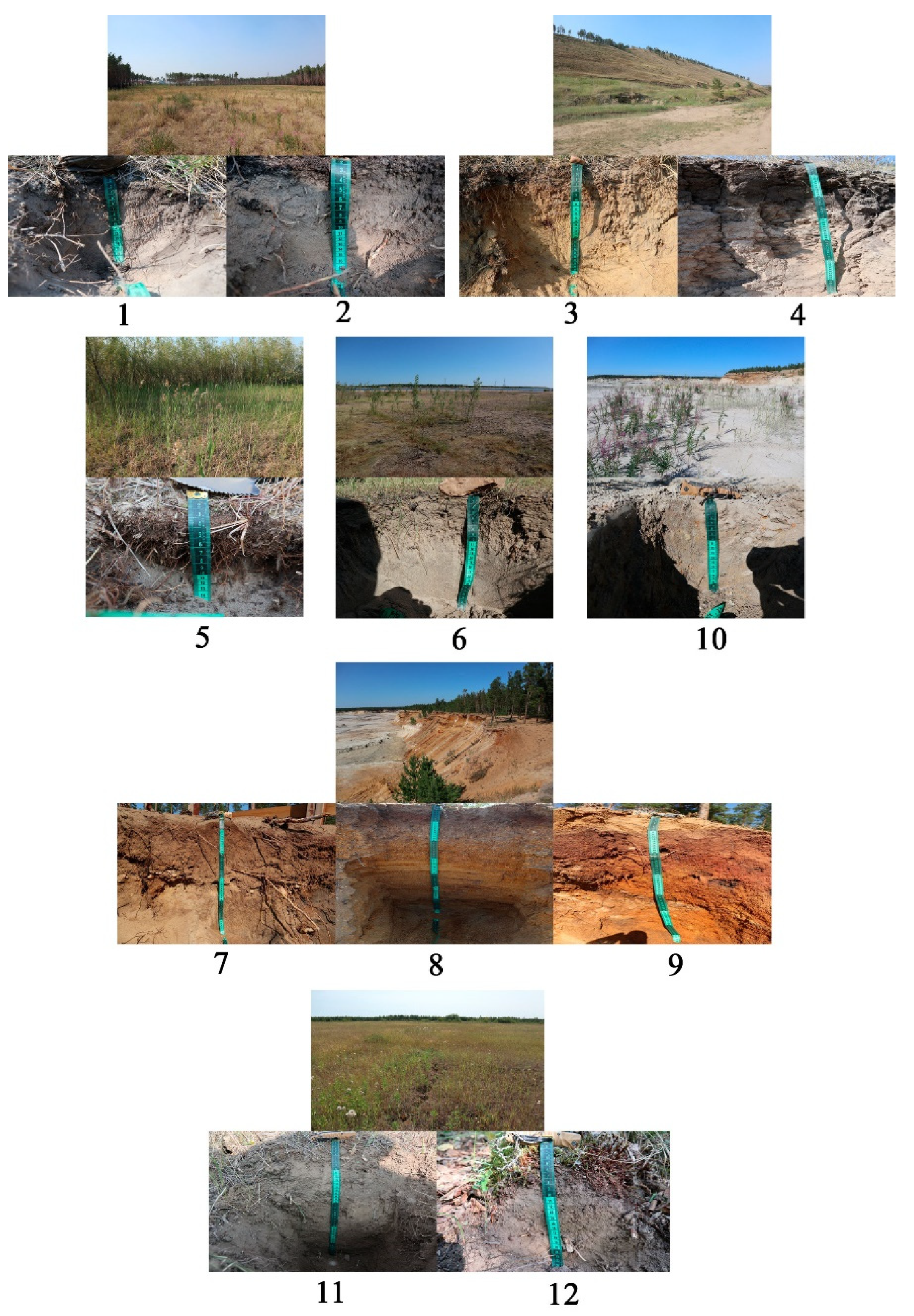 Energies 14 03819 g002 550