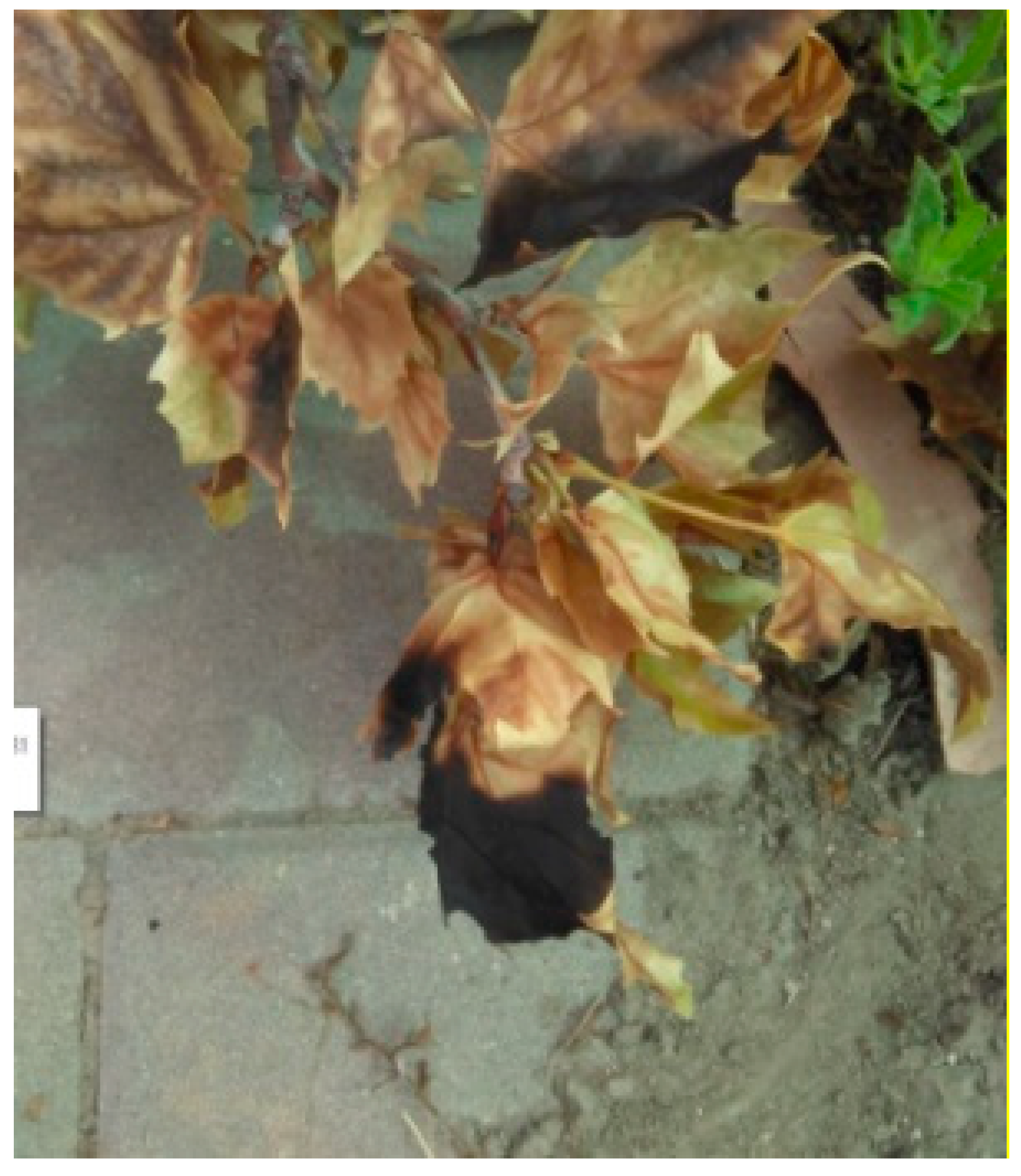 Energies 14 04139 g018