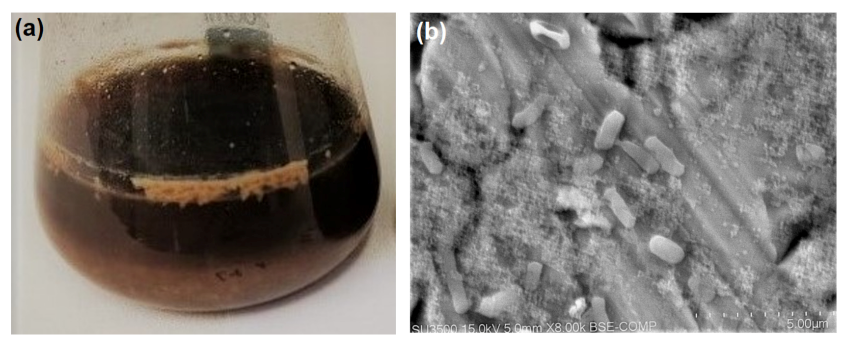 Energies 14 04429 g005