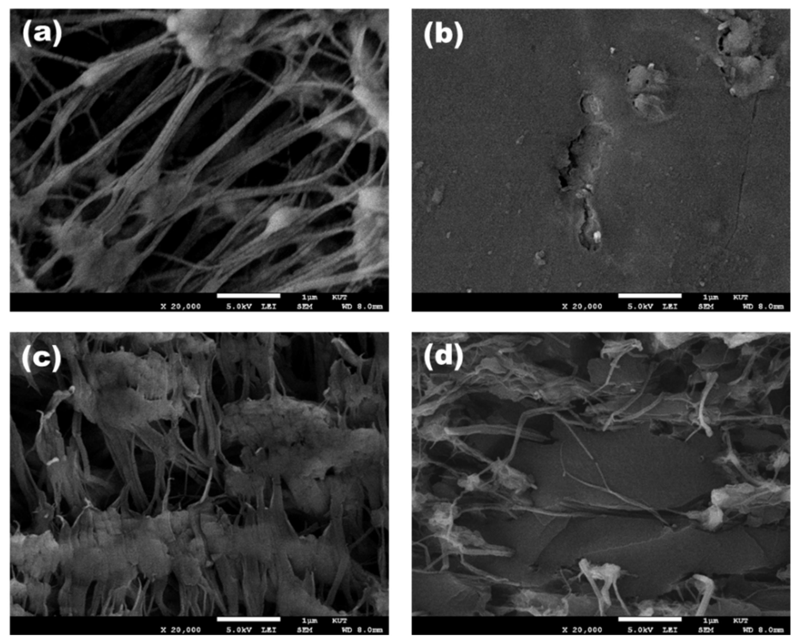 Energies 14 04433 g002 550