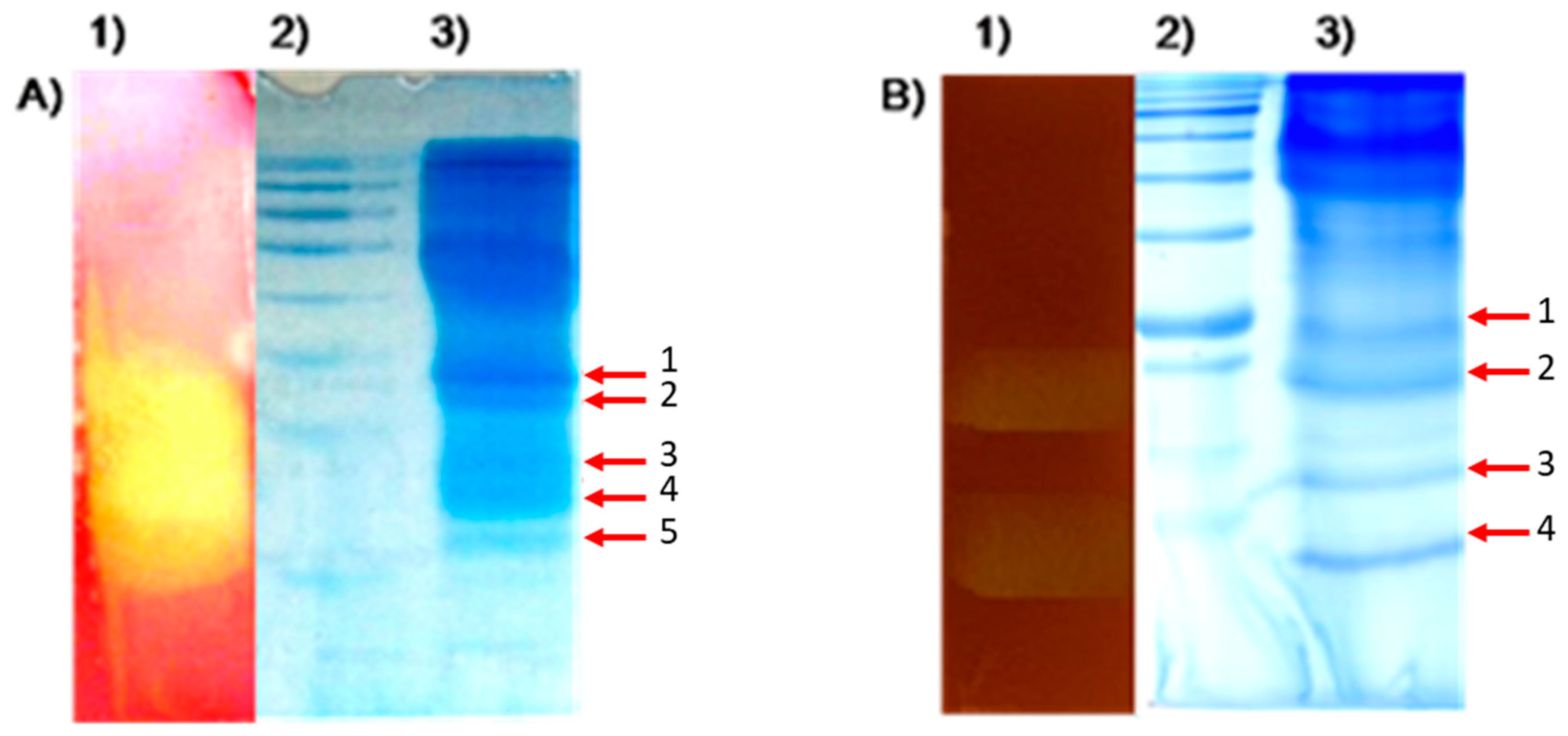 Energies 14 04443 g007