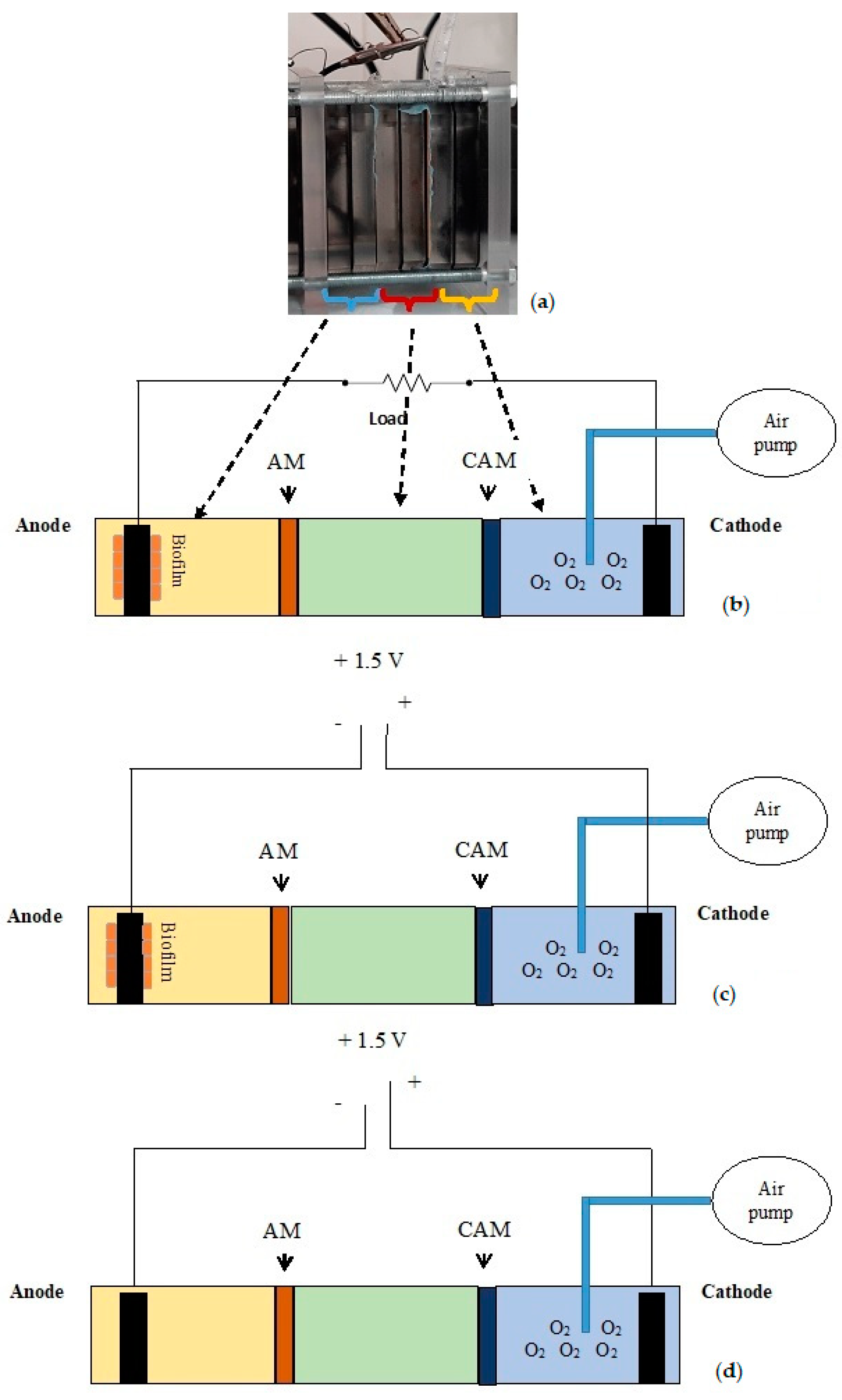 Energies 14 04453 g002