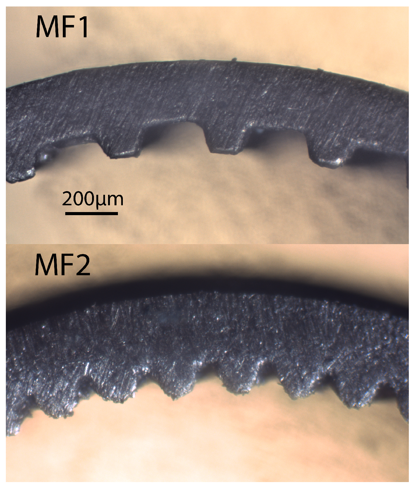 Energies 14 04480 g003