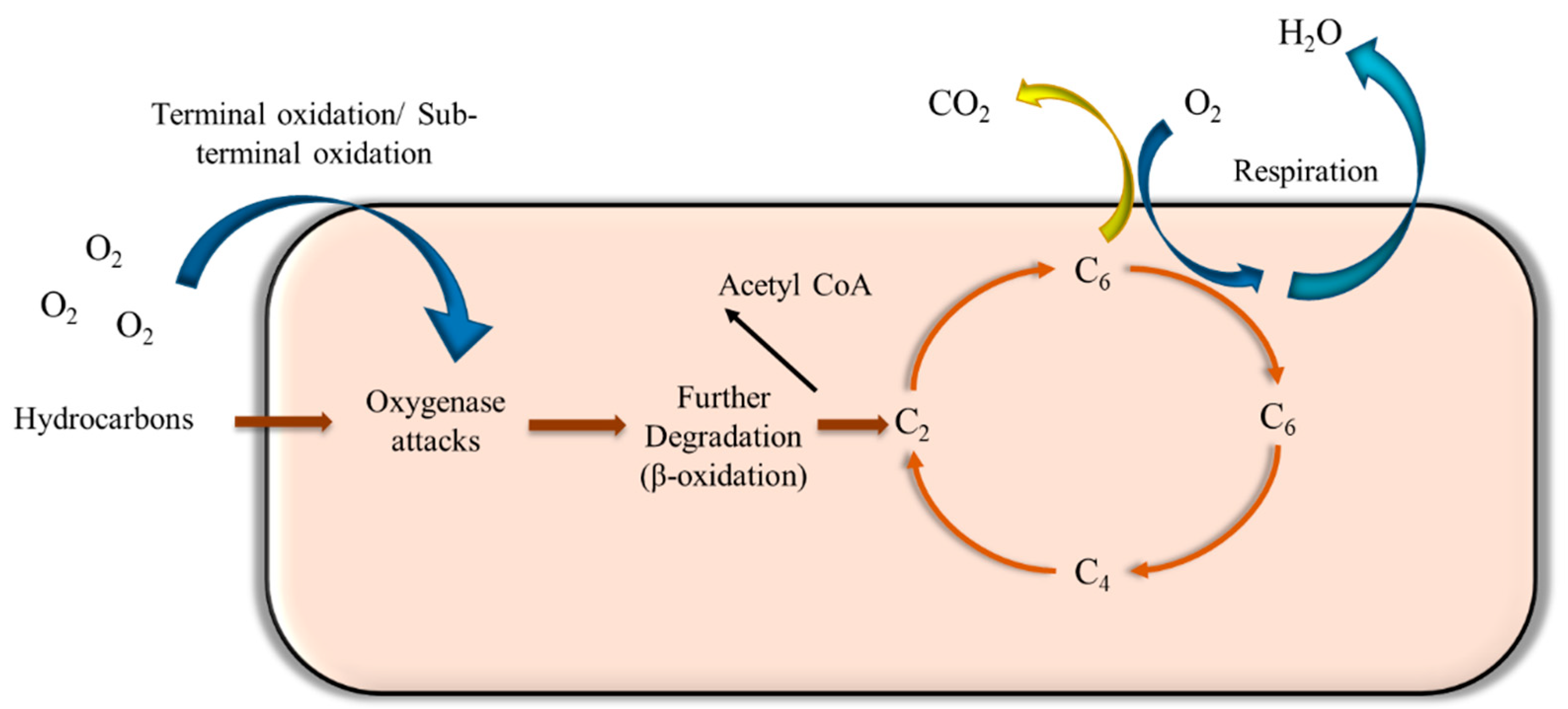 Energies 14 04684 g004