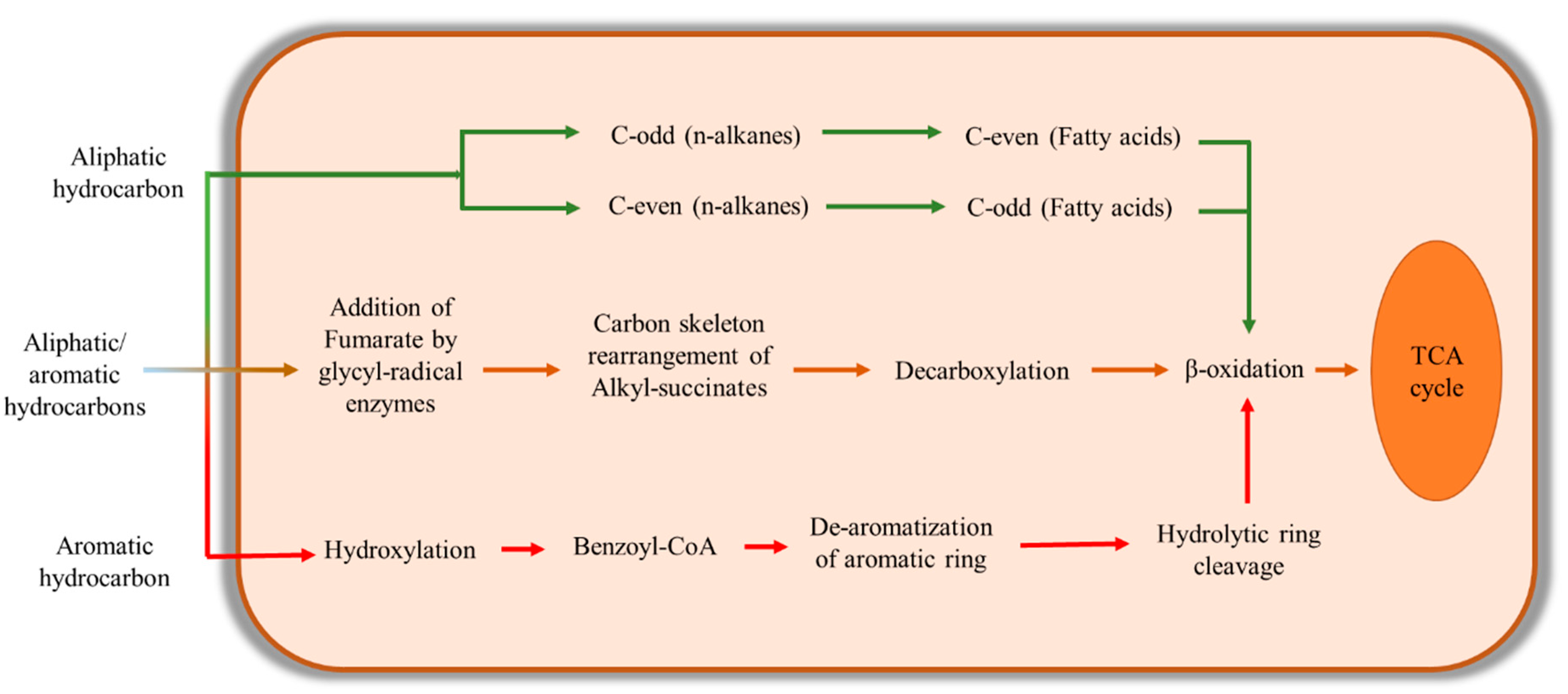 Energies 14 04684 g005